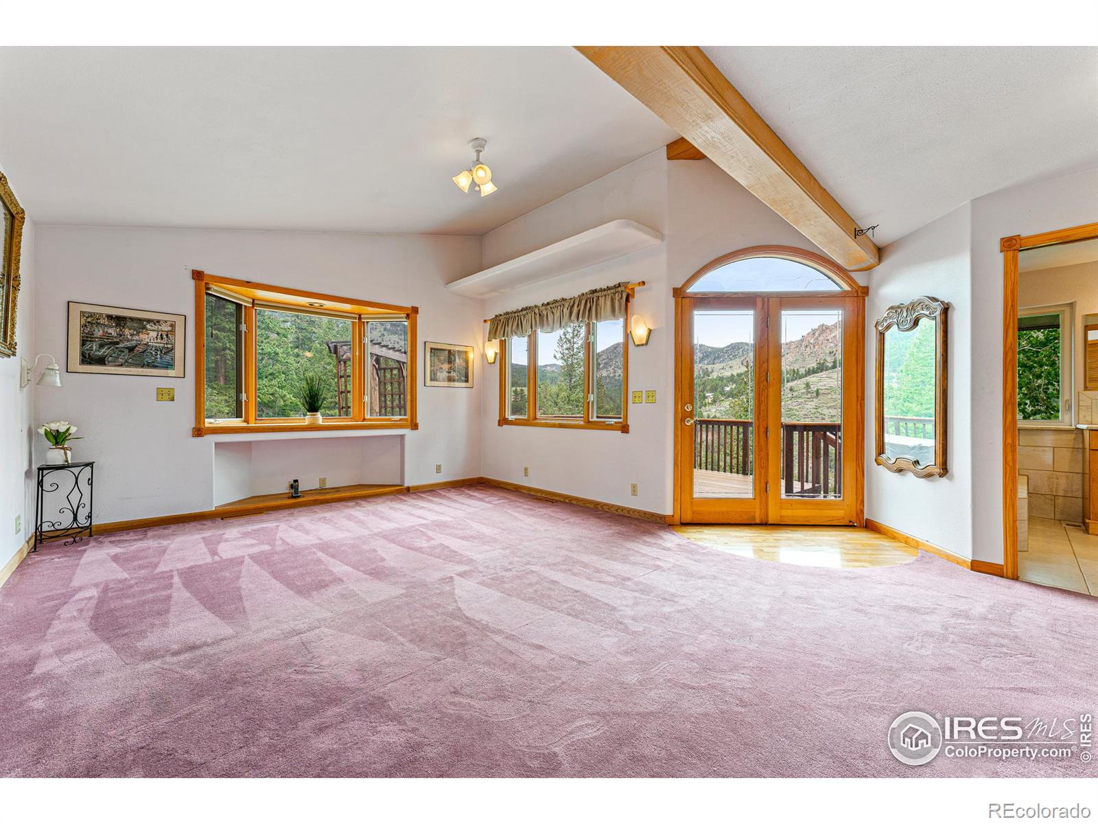 MLS Image #15 for 178  spruce street,jamestown, Colorado