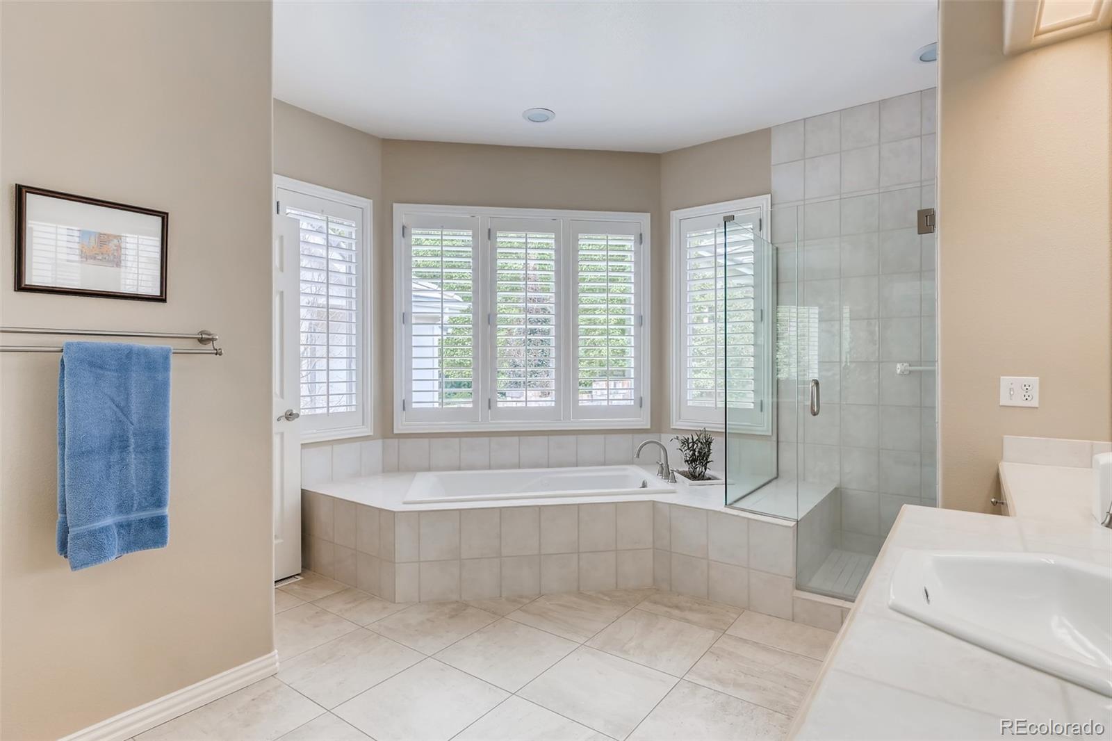 MLS Image #14 for 129  blue heron drive,greenwood village, Colorado