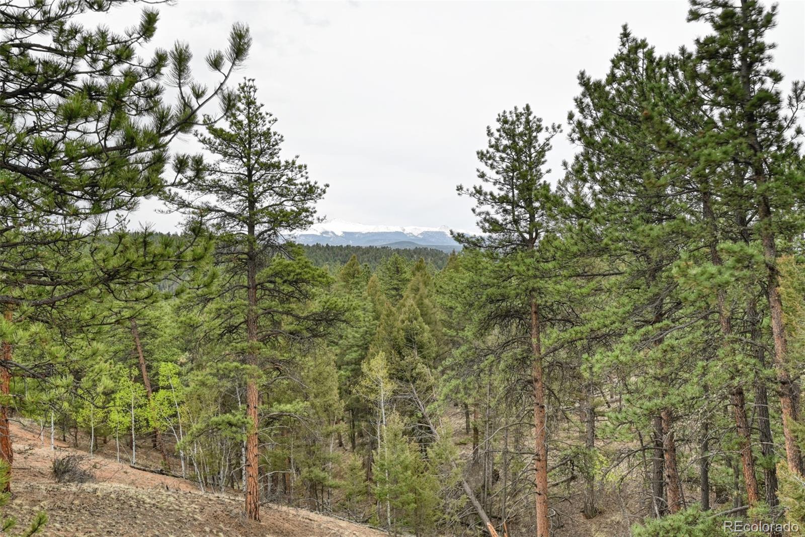 MLS Image #10 for 1733  county 3 road,florissant, Colorado