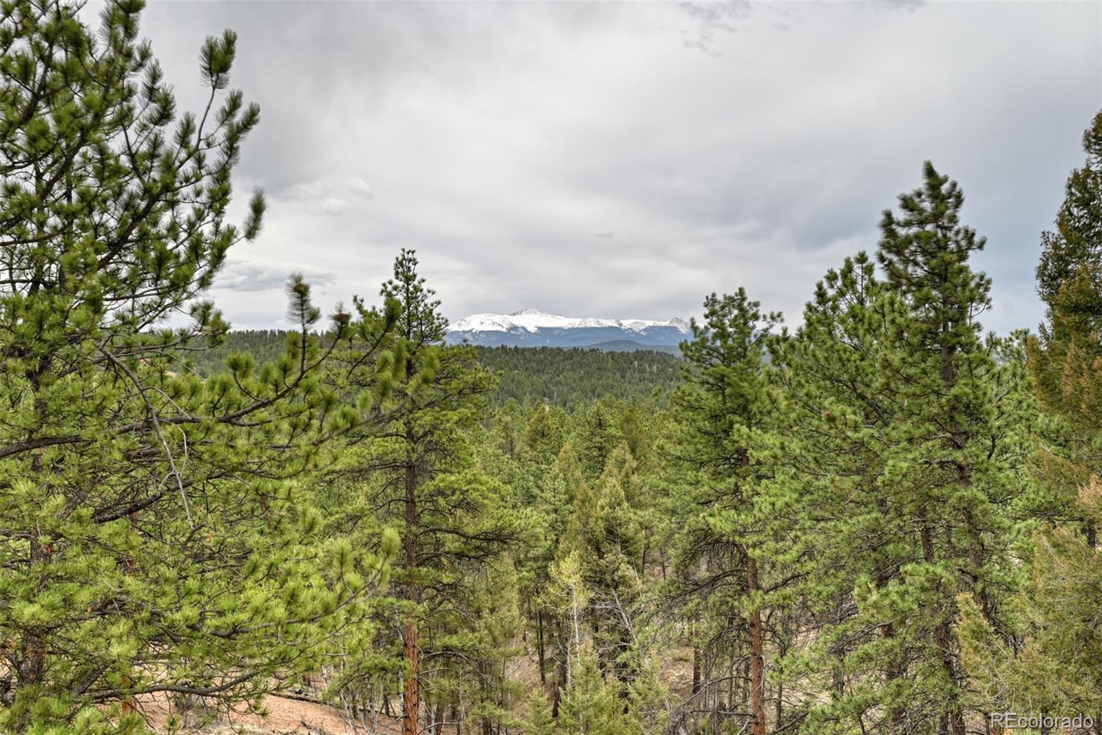 MLS Image #11 for 1733  county 3 road,florissant, Colorado