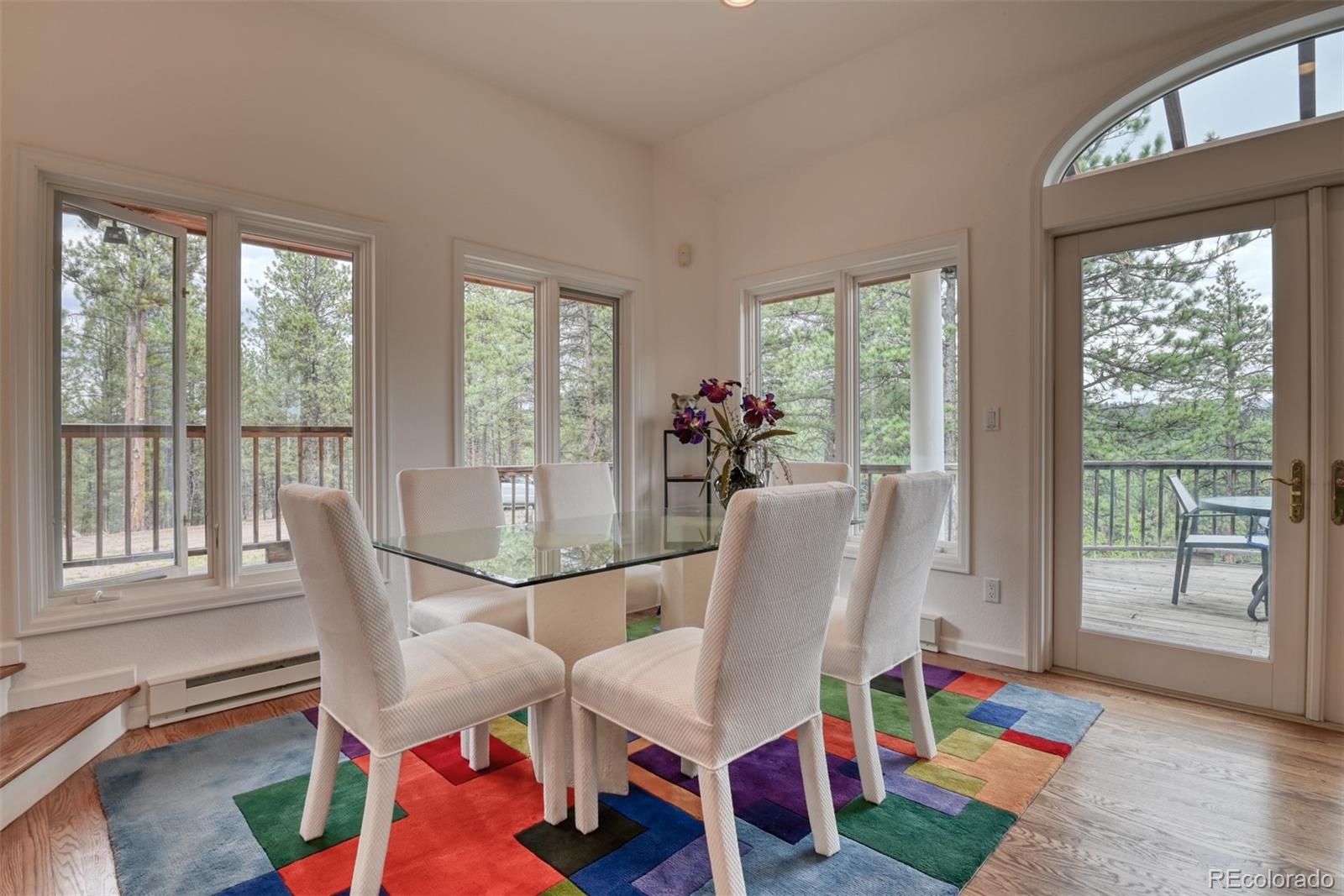 MLS Image #21 for 1733  county 3 road,florissant, Colorado
