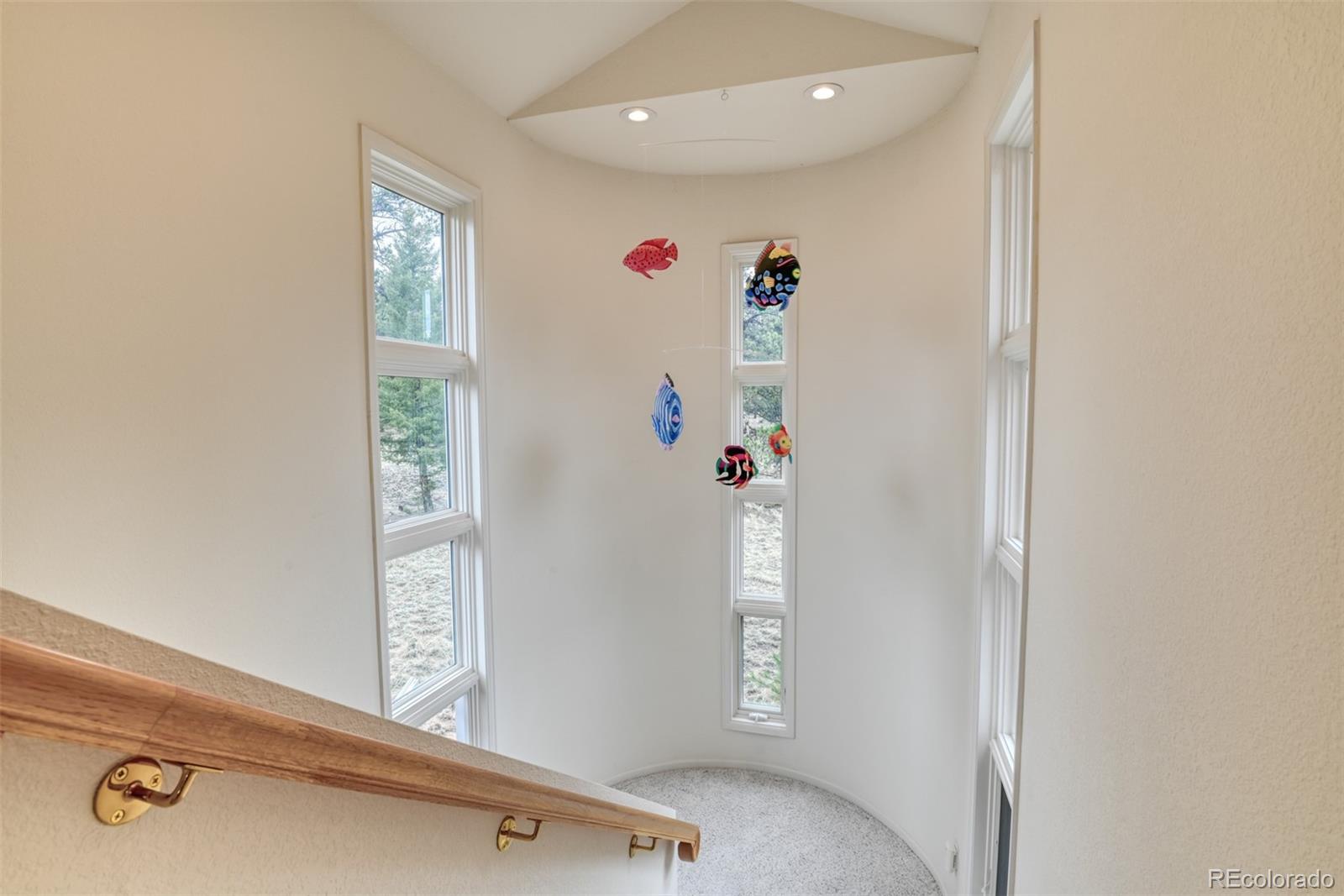 MLS Image #36 for 1733  county 3 road,florissant, Colorado