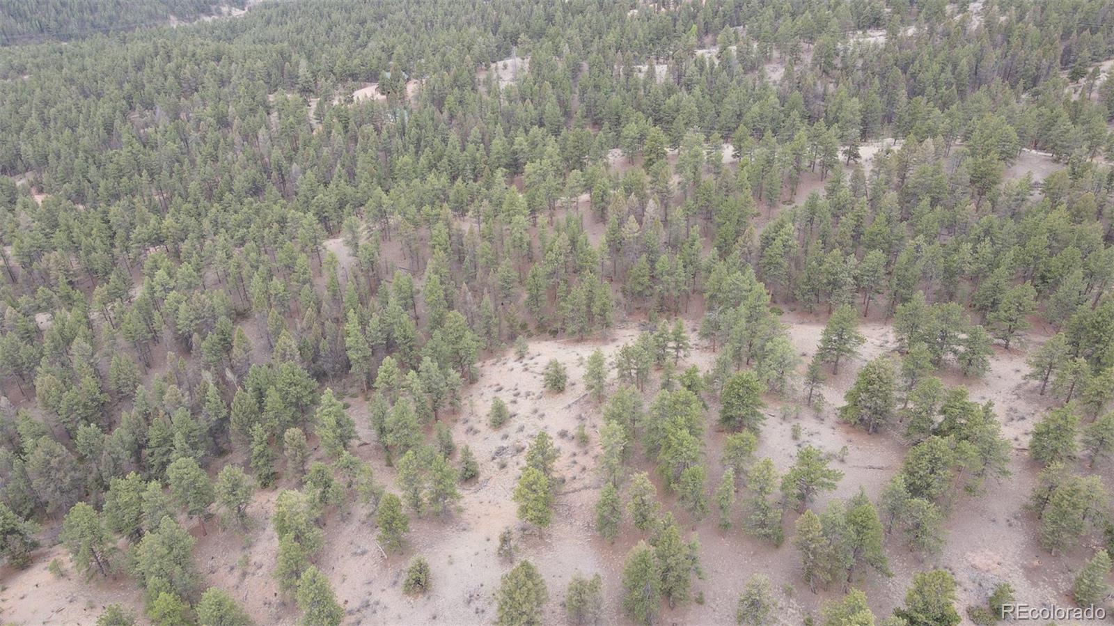 MLS Image #9 for 1733  county 3 road,florissant, Colorado