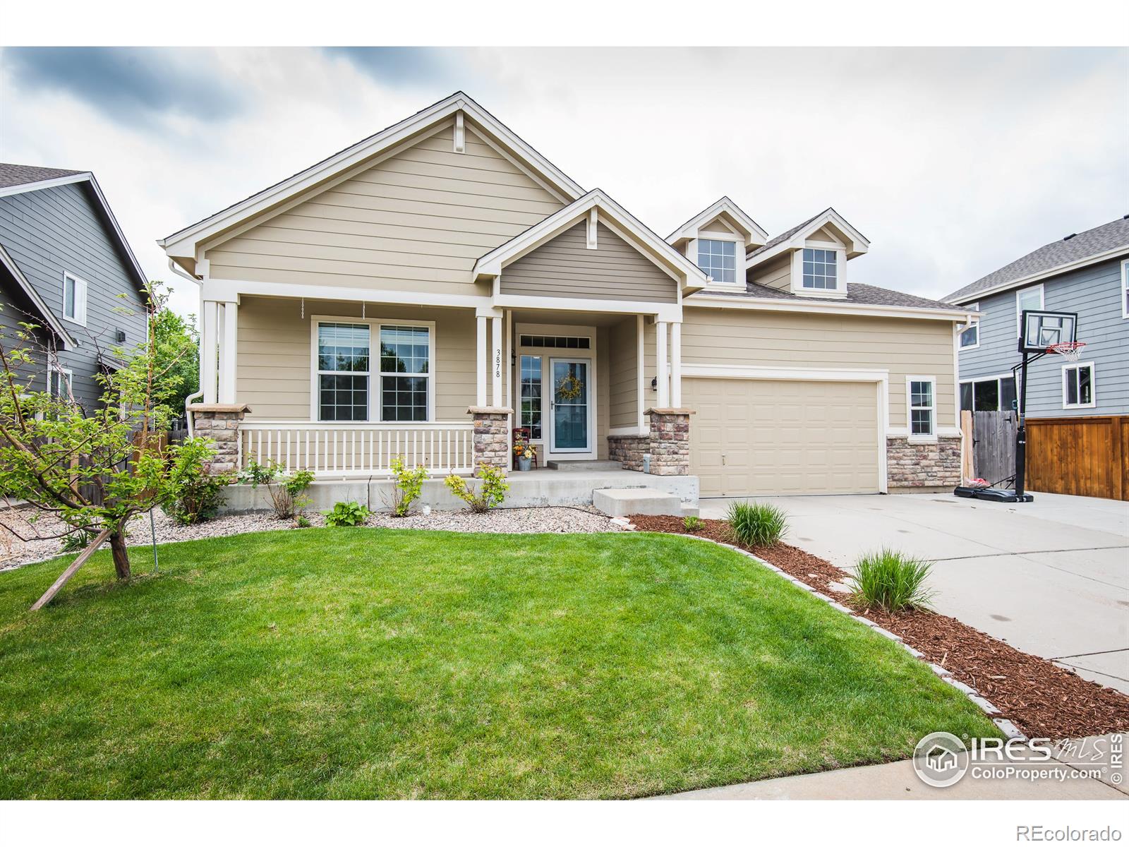 Report Image for 3878  Siamese Street,Loveland, Colorado