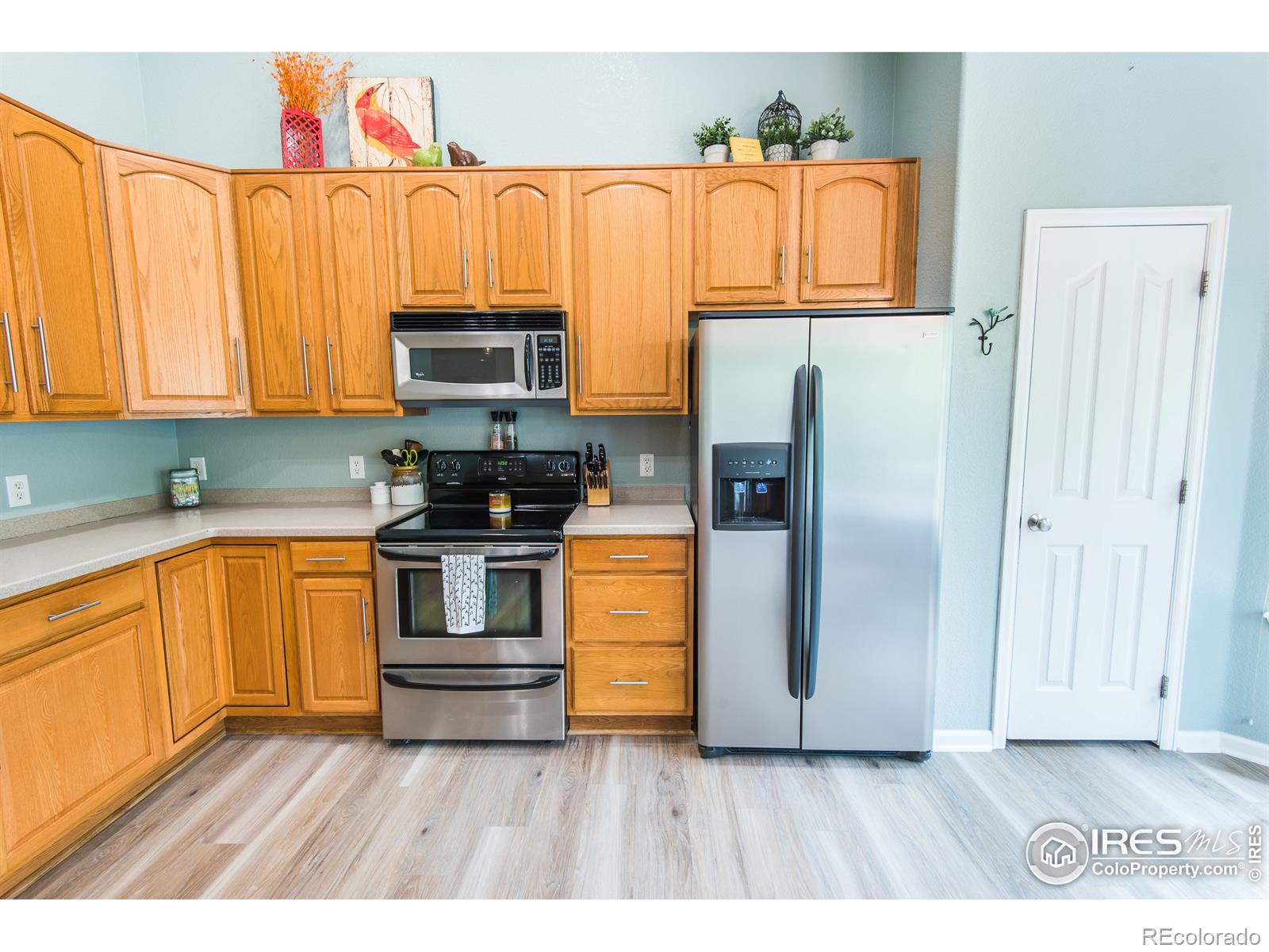 MLS Image #11 for 3878  siamese street,loveland, Colorado