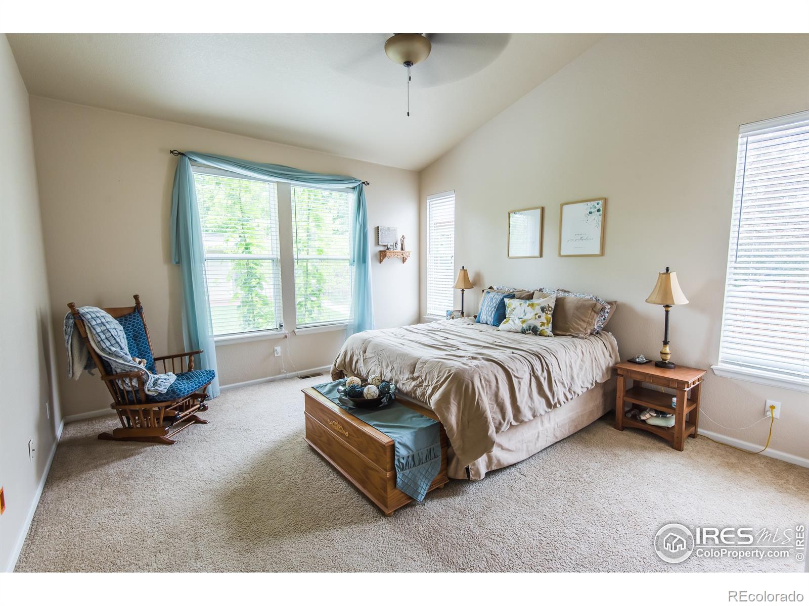 MLS Image #16 for 3878  siamese street,loveland, Colorado