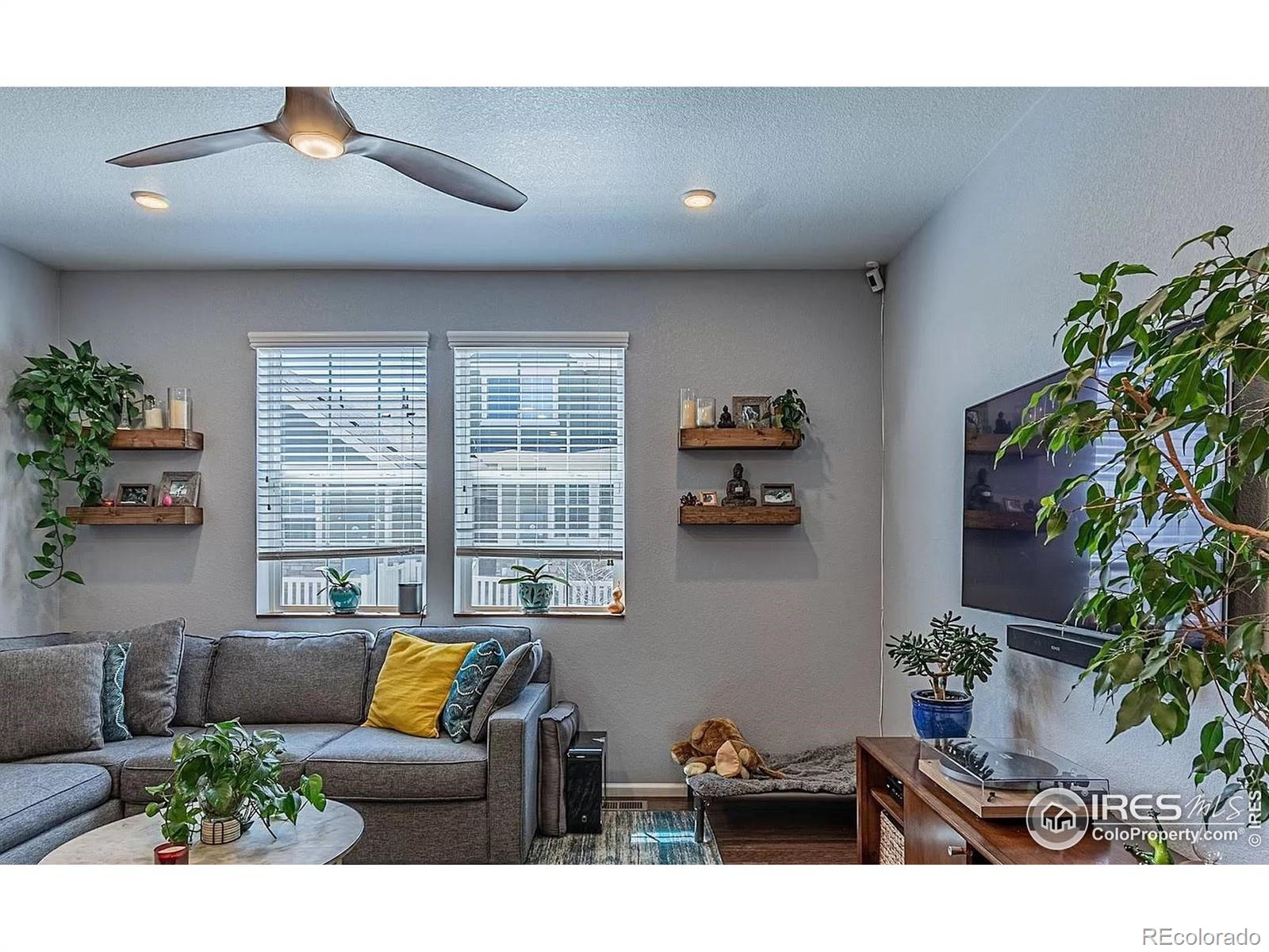 MLS Image #11 for 92  jackson place,erie, Colorado