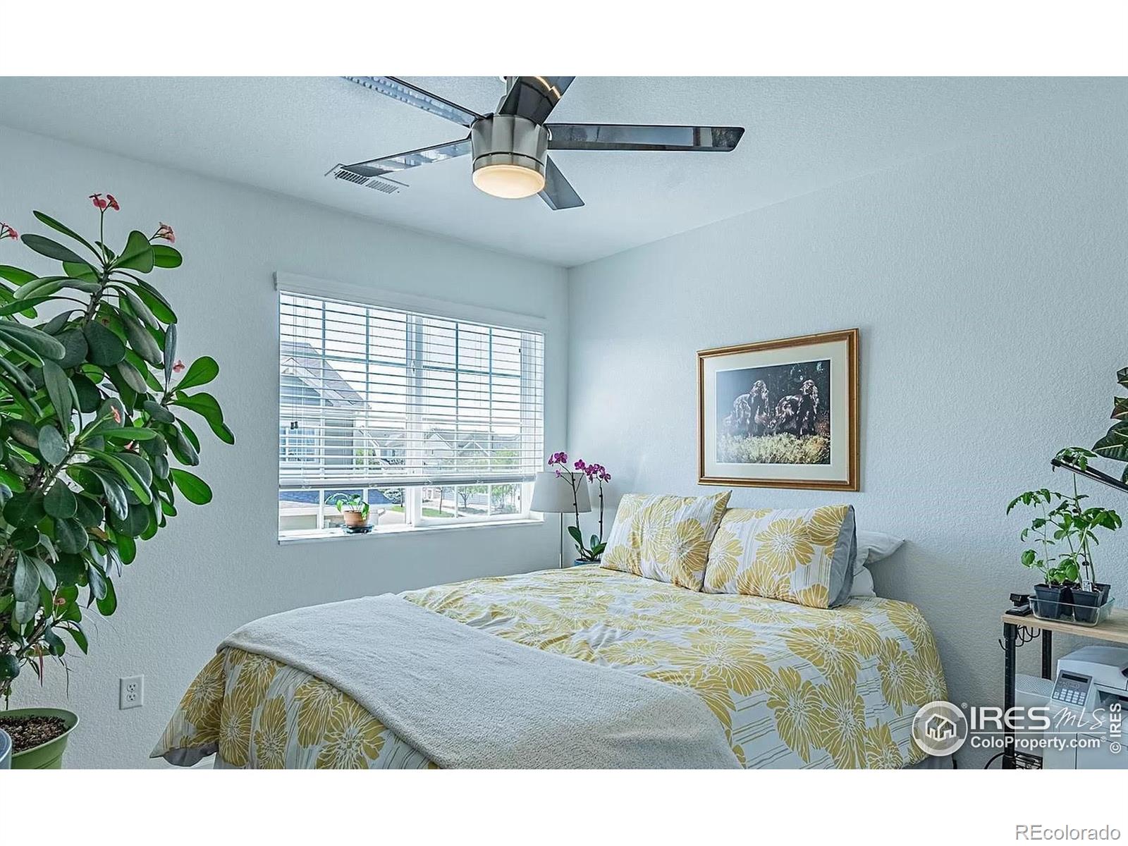 MLS Image #24 for 92  jackson place,erie, Colorado