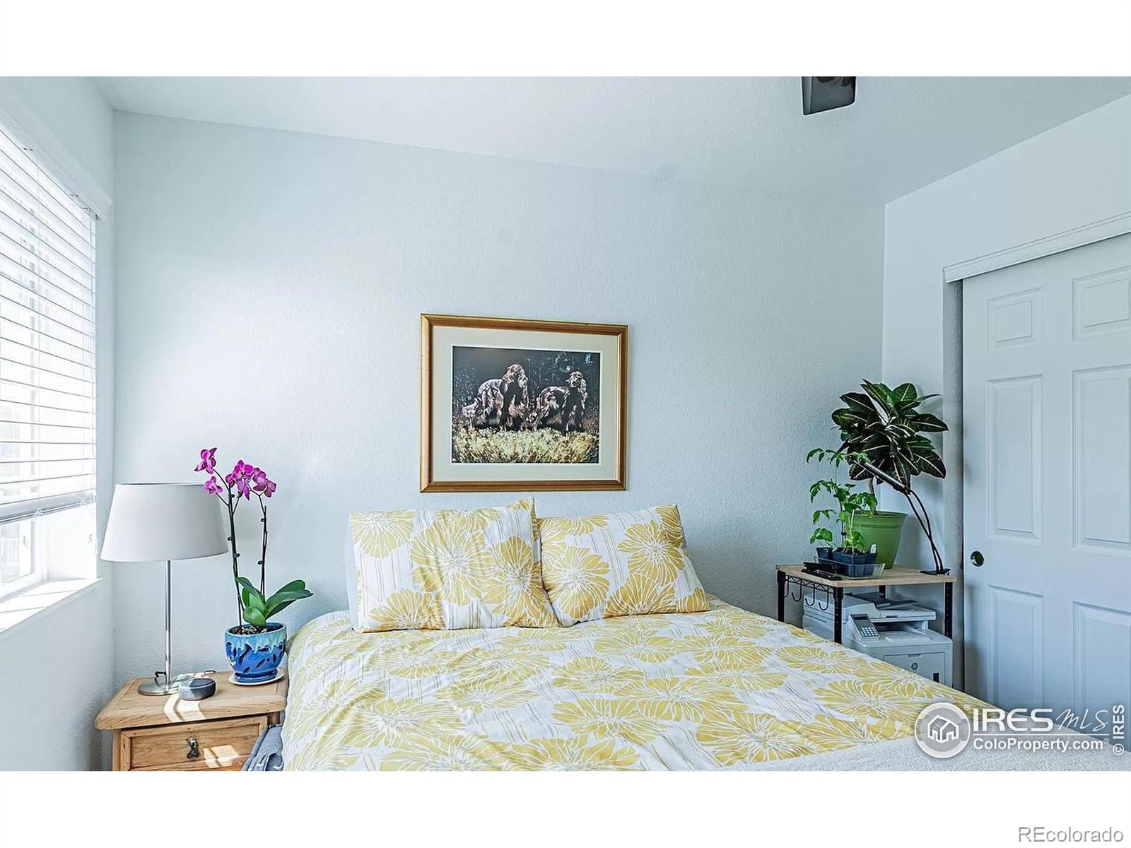 MLS Image #25 for 92  jackson place,erie, Colorado