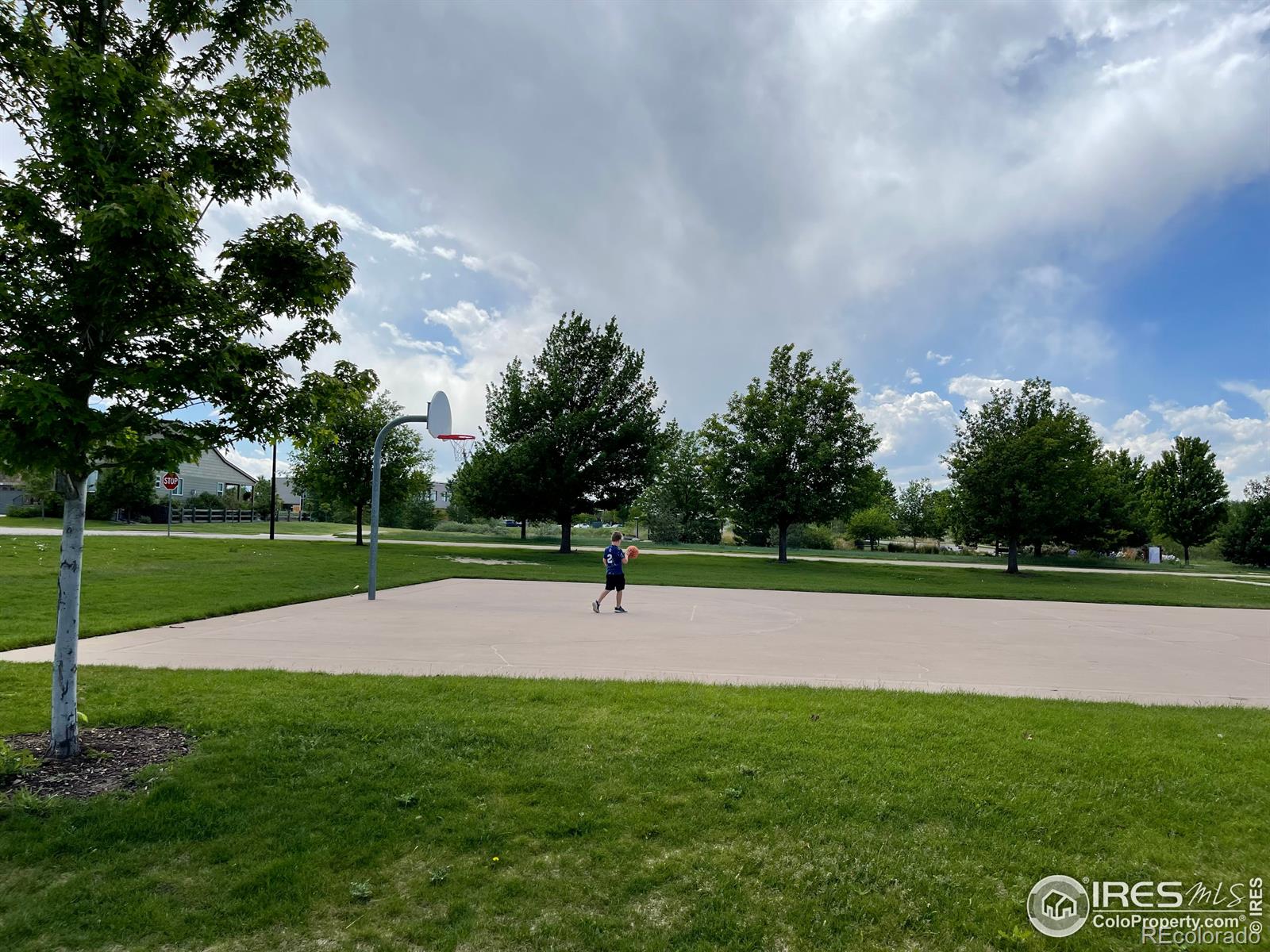 MLS Image #36 for 92  jackson place,erie, Colorado