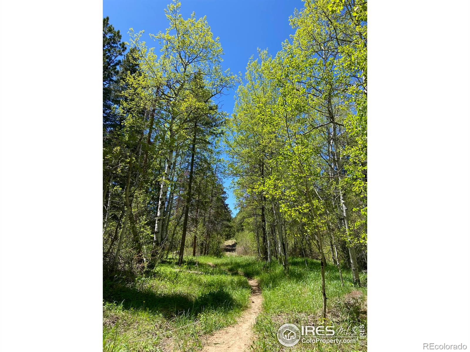 MLS Image #37 for 760  crescent lake road,golden, Colorado