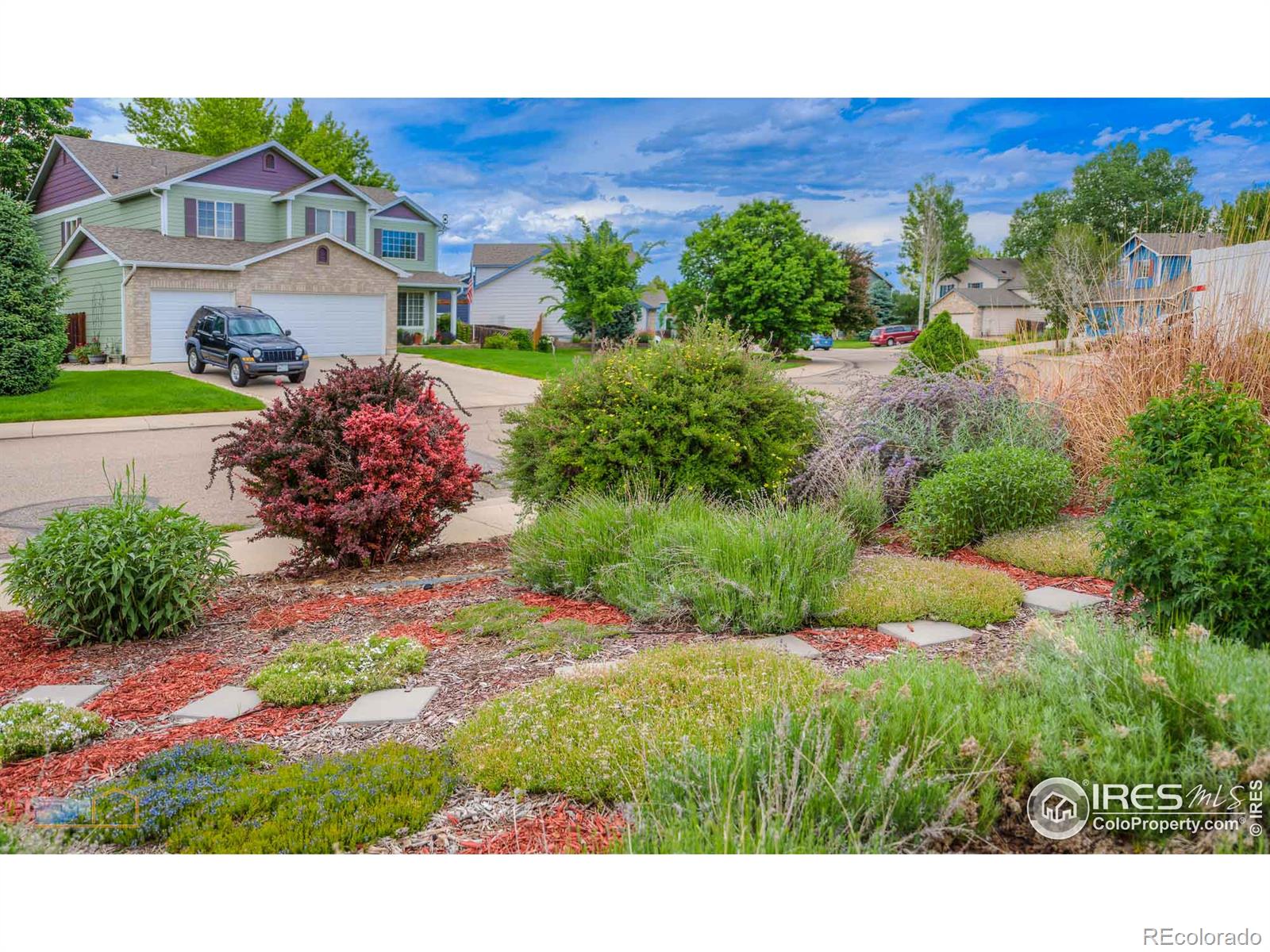 MLS Image #4 for 1563  cedarwood drive,longmont, Colorado