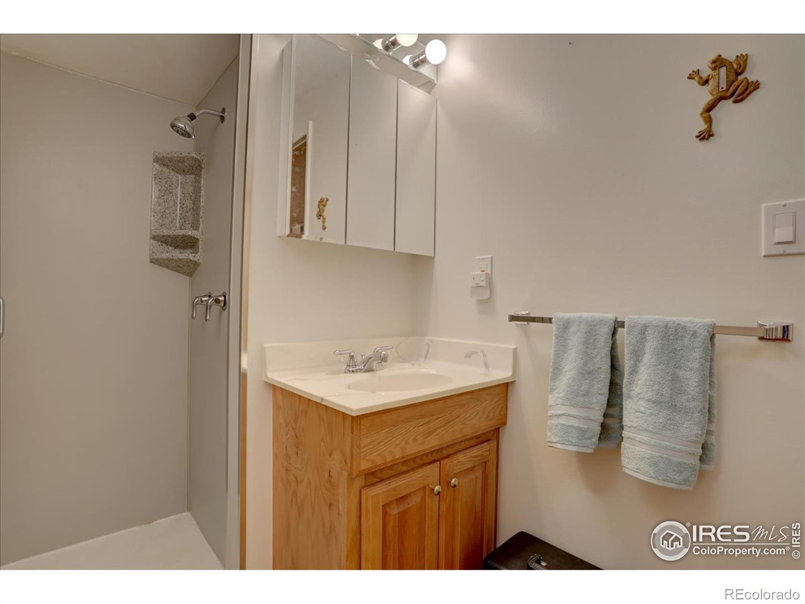MLS Image #19 for 2109 s arthur avenue,loveland, Colorado