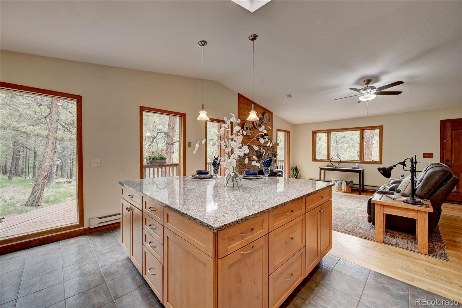 MLS Image #12 for 14557 s elk creek road,pine, Colorado