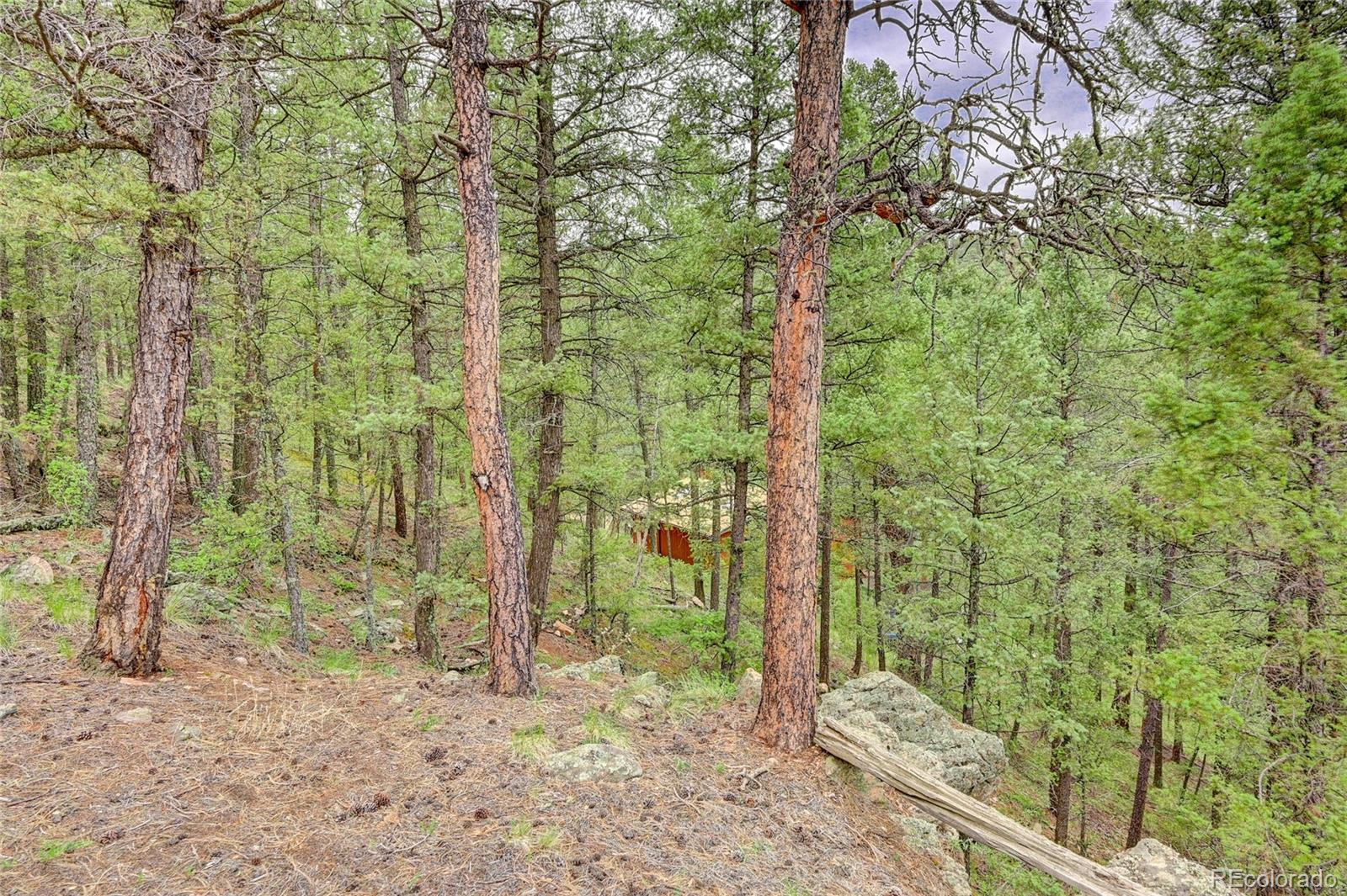 MLS Image #33 for 14557 s elk creek road,pine, Colorado