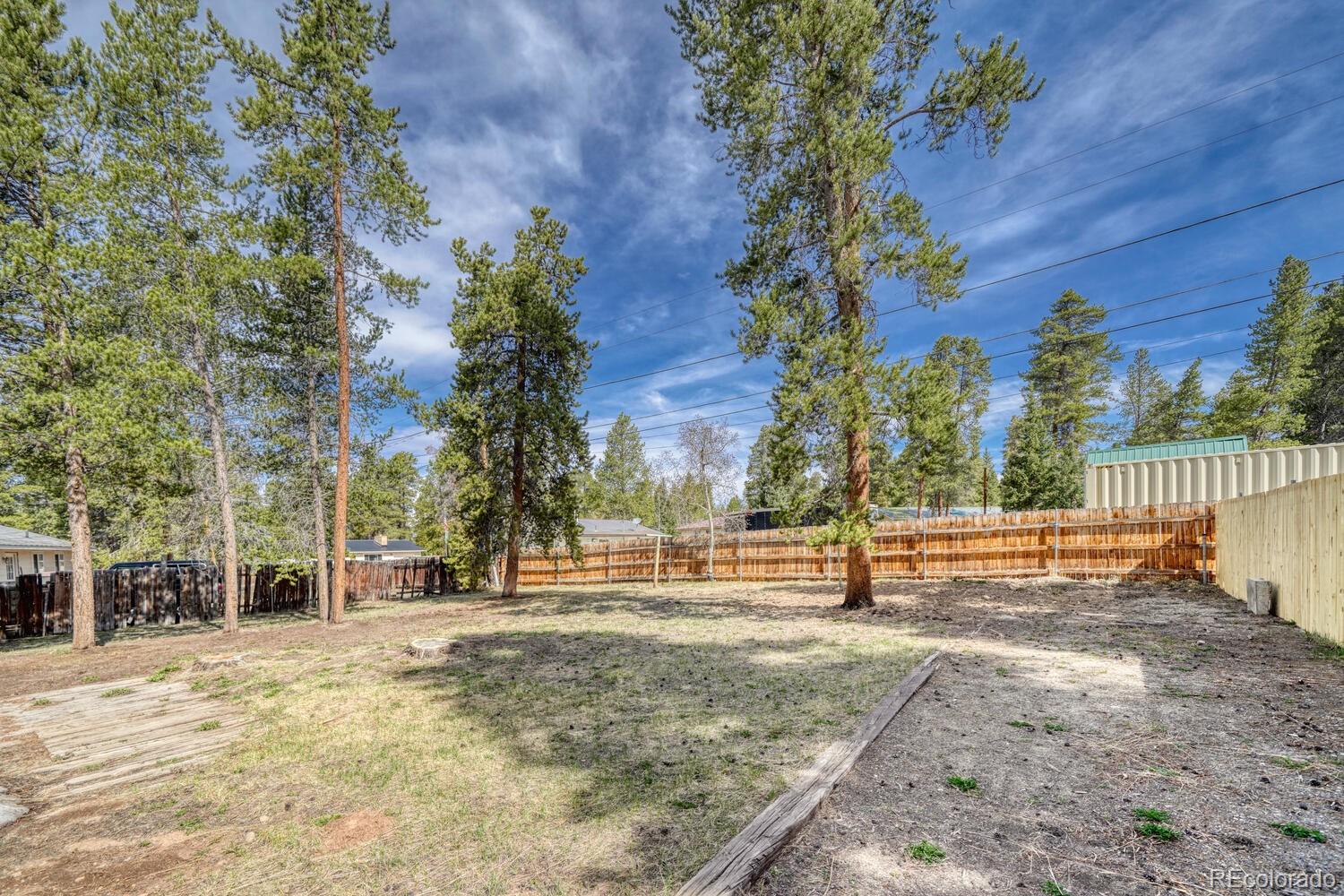 MLS Image #4 for 909  diamond street,leadville, Colorado