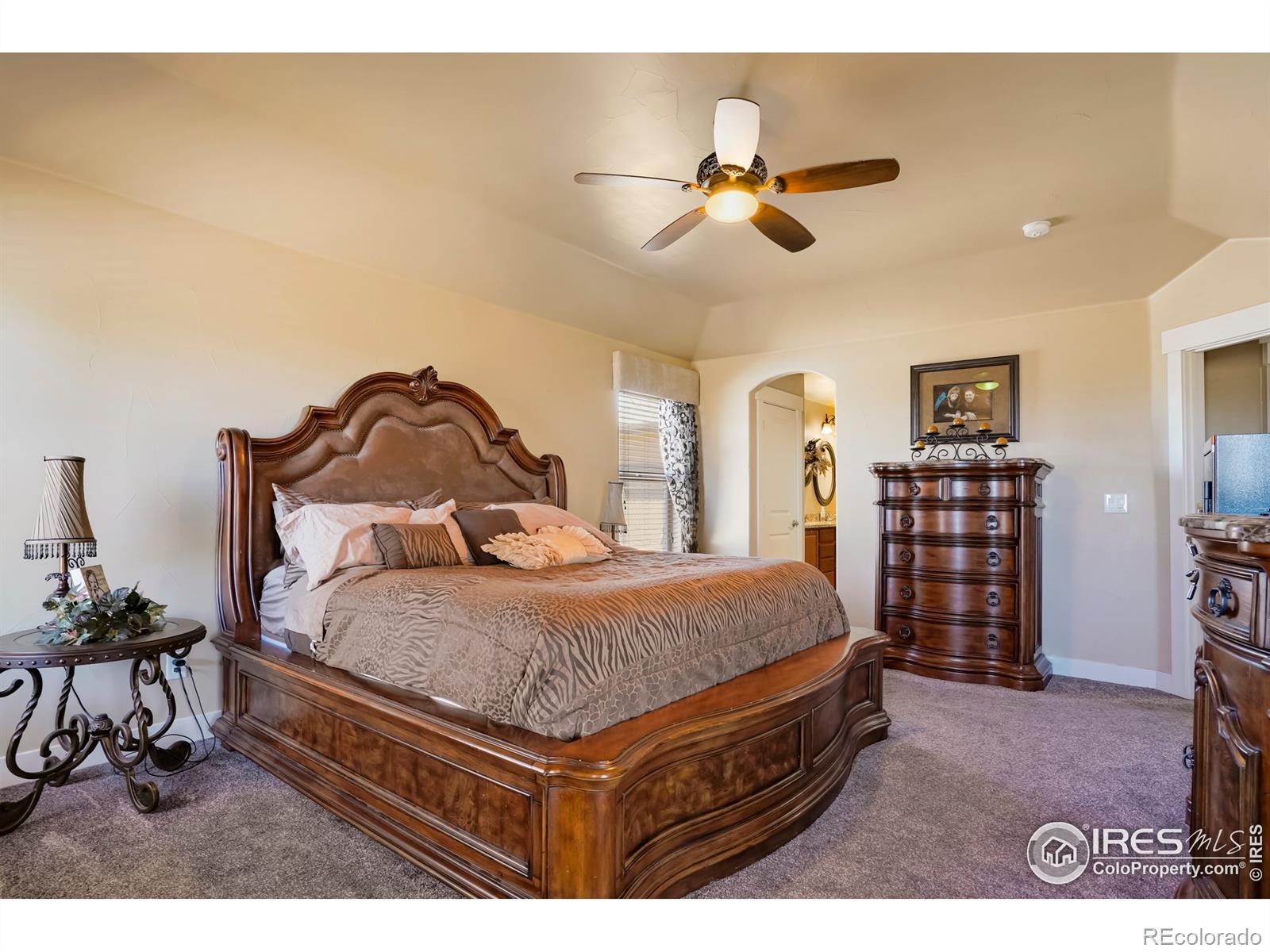 MLS Image #13 for 5033  peregrine road,dacono, Colorado