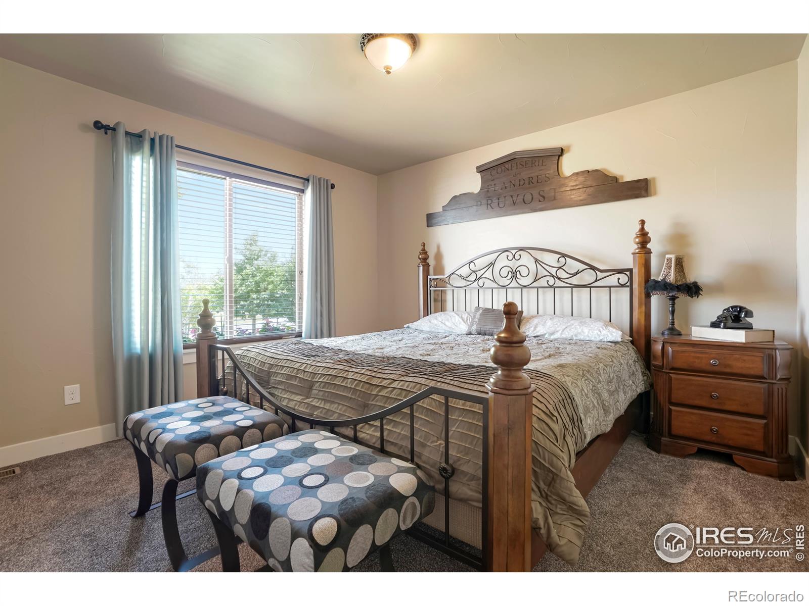 MLS Image #15 for 5033  peregrine road,dacono, Colorado