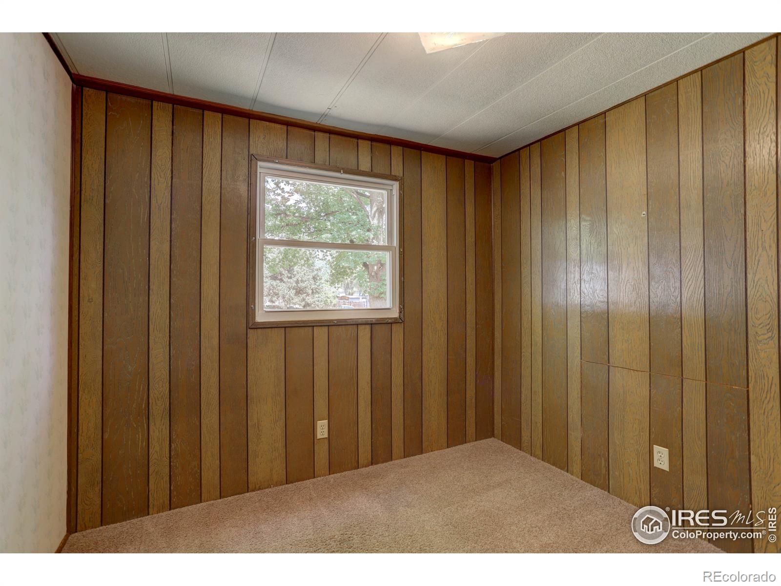 MLS Image #8 for 4706  bryce canyon drive,greeley, Colorado