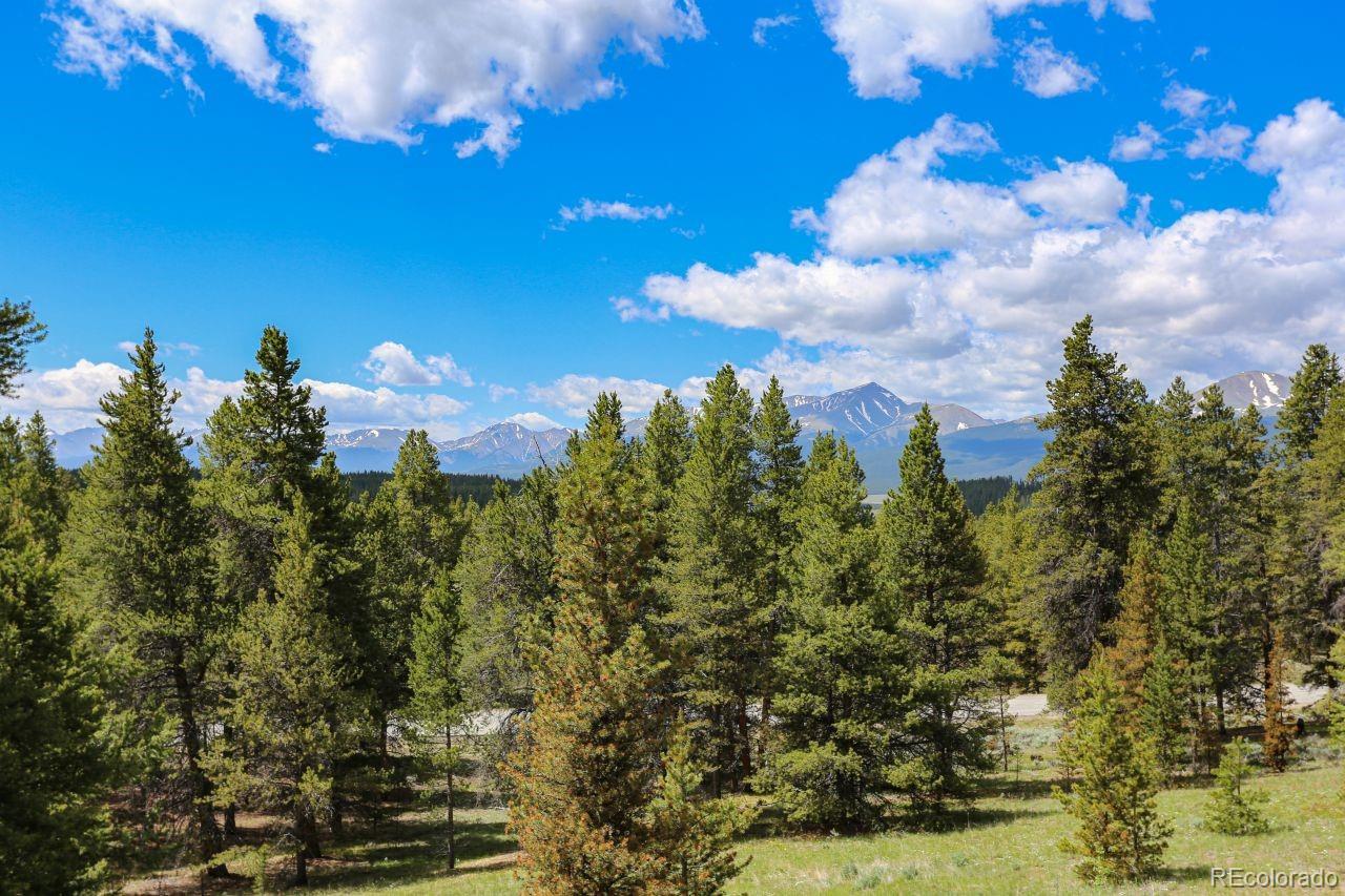 Report Image for 44  Columbine Court,Leadville, Colorado