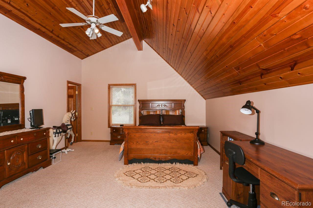 MLS Image #10 for 44  columbine court,leadville, Colorado