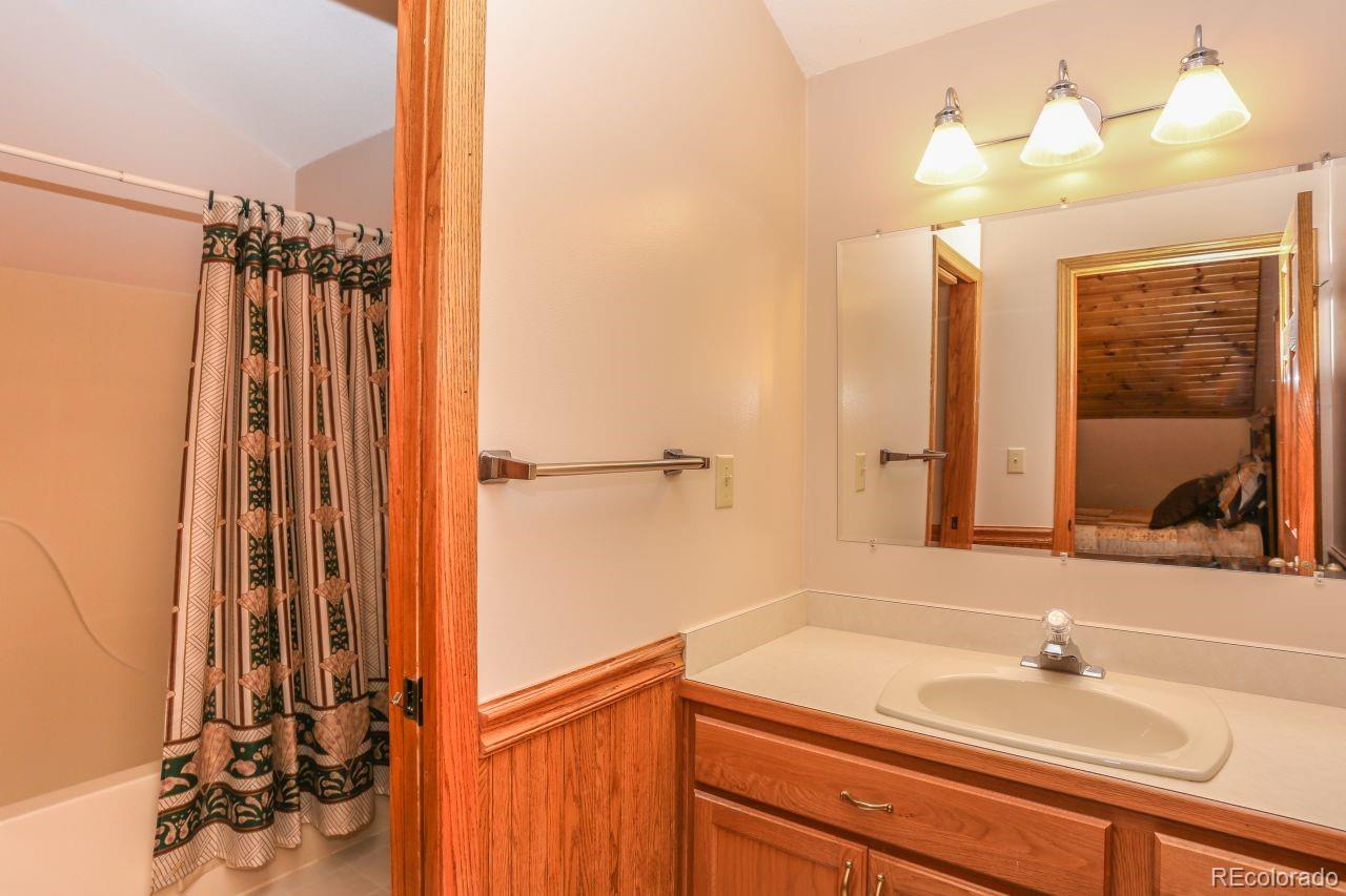 MLS Image #12 for 44  columbine court,leadville, Colorado