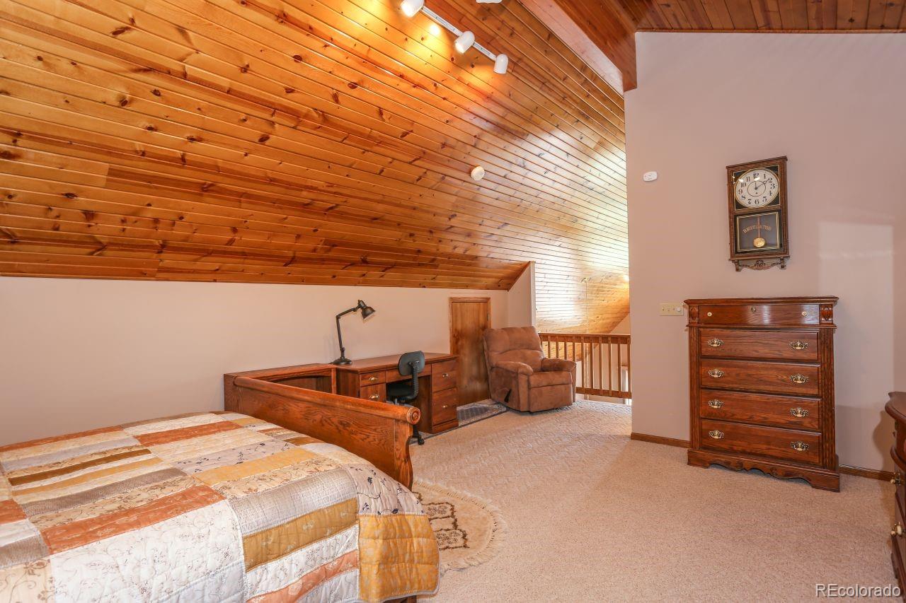 MLS Image #13 for 44  columbine court,leadville, Colorado