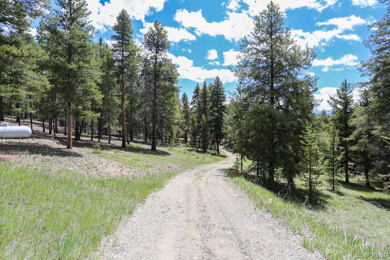 MLS Image #27 for 44  columbine court,leadville, Colorado