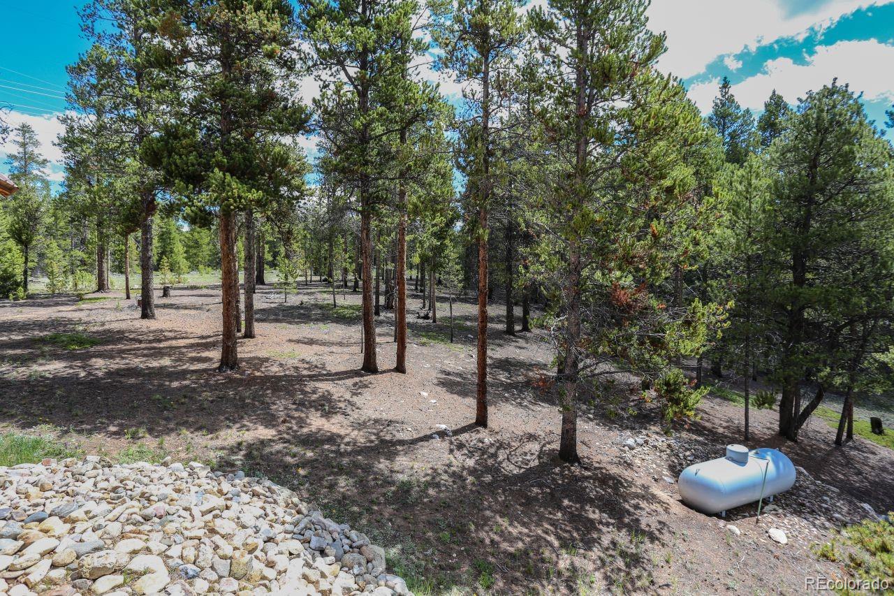 MLS Image #32 for 44  columbine court,leadville, Colorado