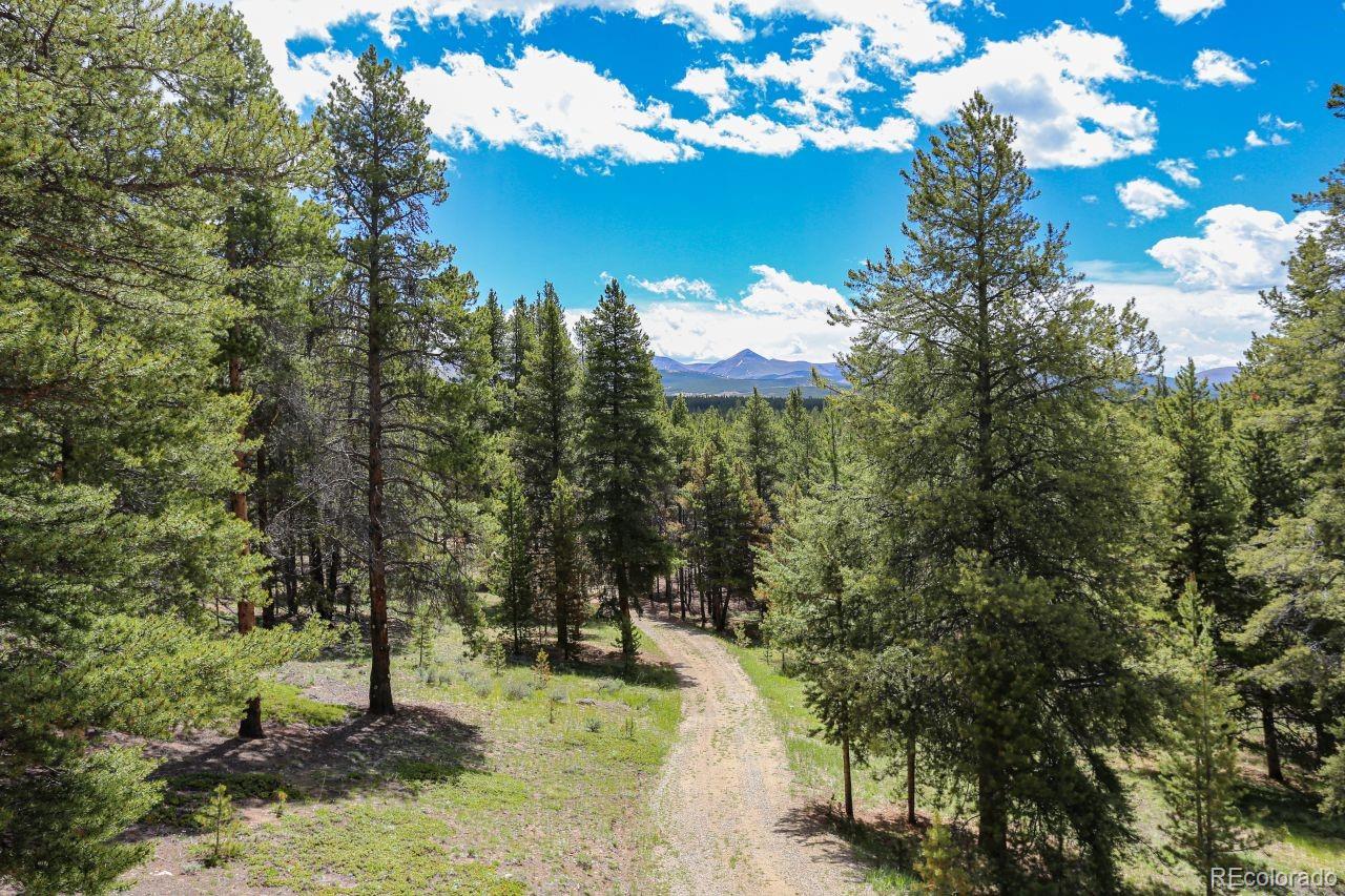 MLS Image #33 for 44  columbine court,leadville, Colorado
