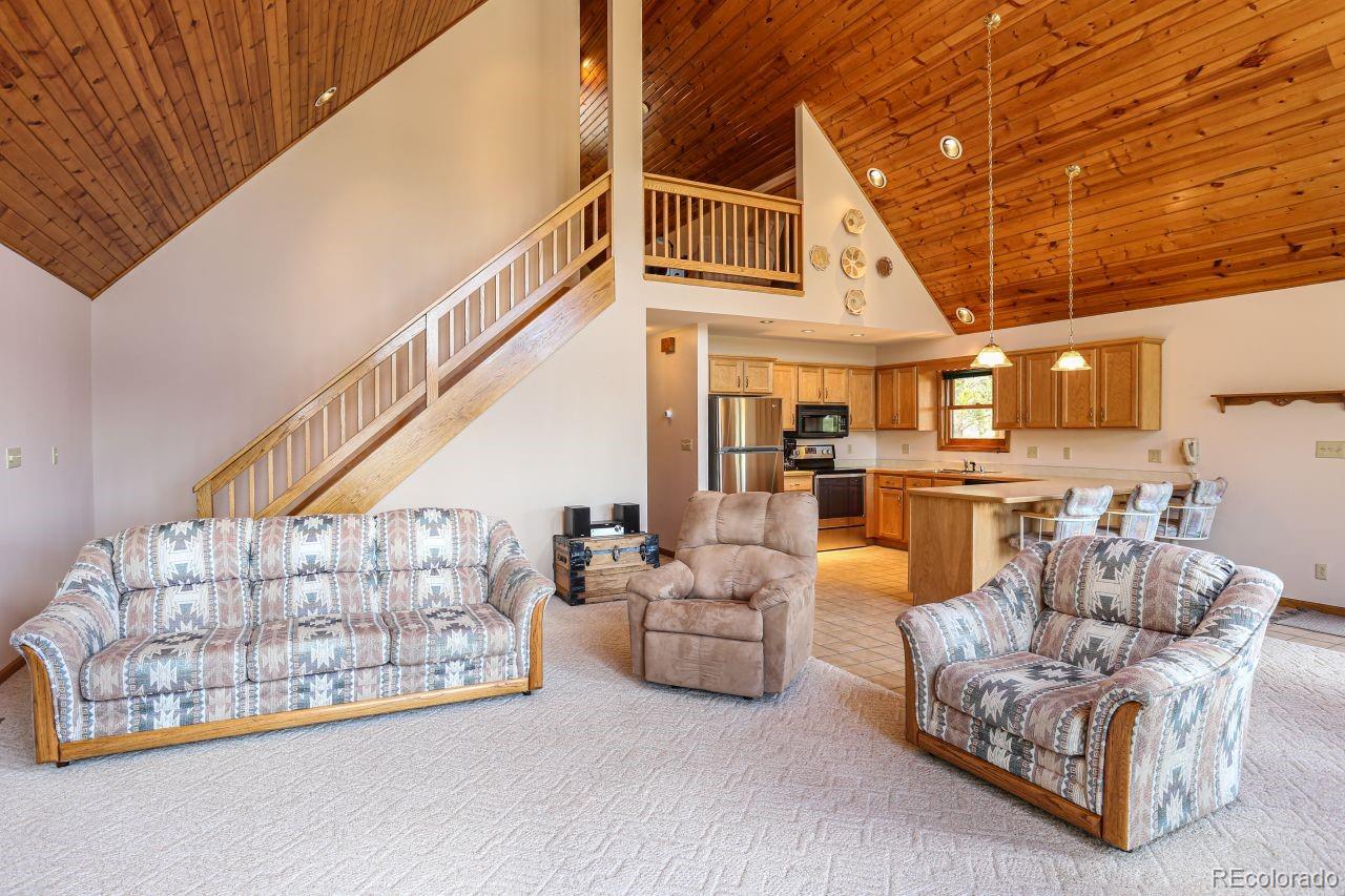 MLS Image #5 for 44  columbine court,leadville, Colorado