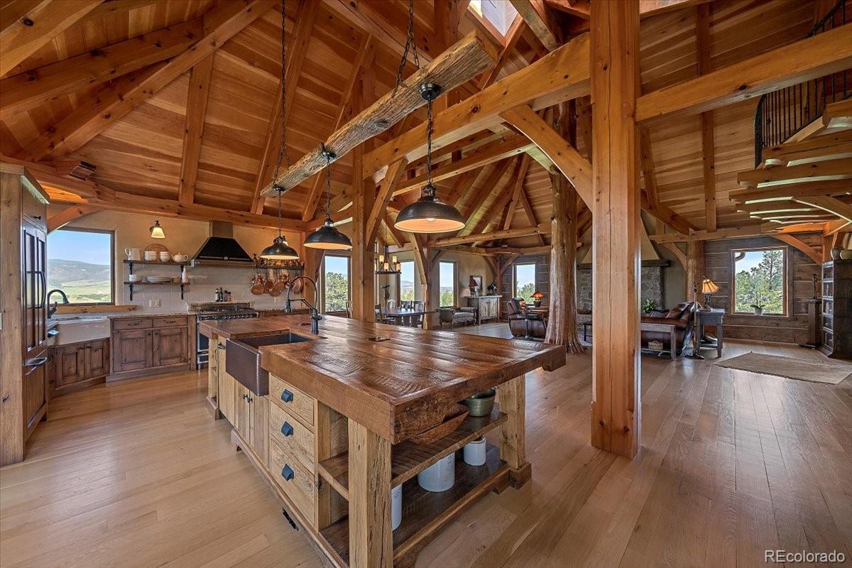 MLS Image #10 for 3800 s perry park road,sedalia, Colorado