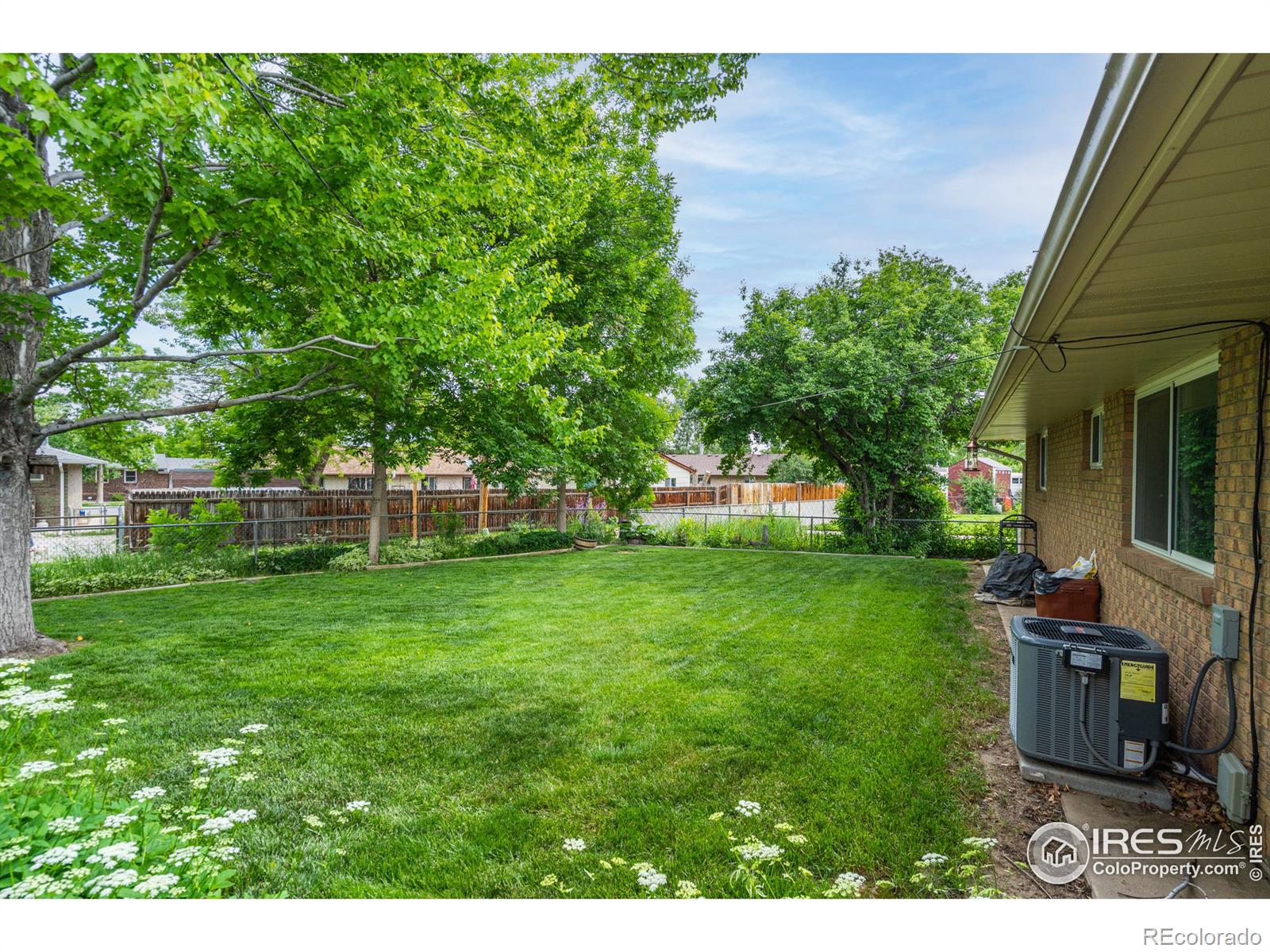 MLS Image #17 for 925  franklin avenue,berthoud, Colorado