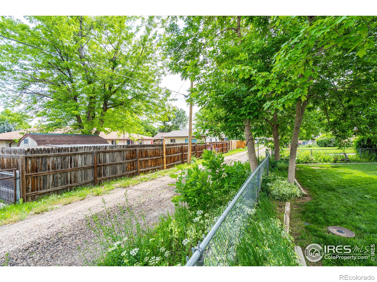 MLS Image #19 for 925  franklin avenue,berthoud, Colorado