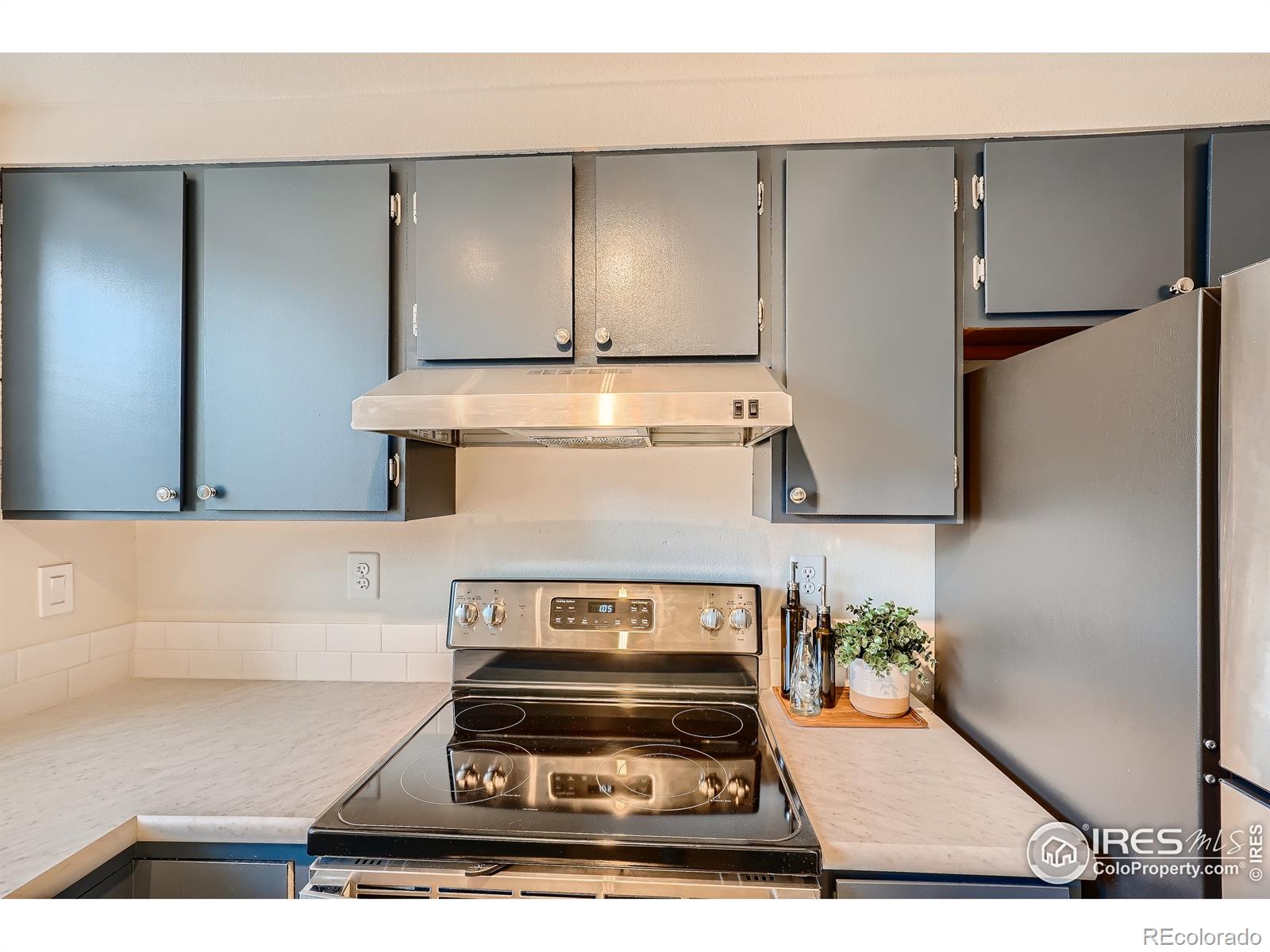 MLS Image #11 for 1325  birch street,fort collins, Colorado