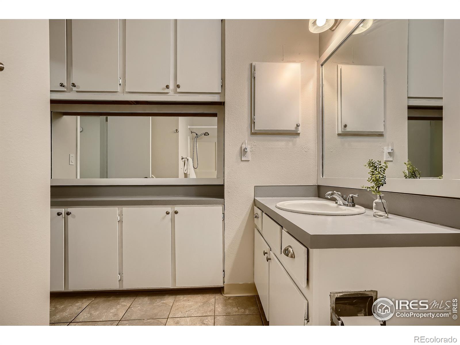MLS Image #21 for 1325  birch street,fort collins, Colorado