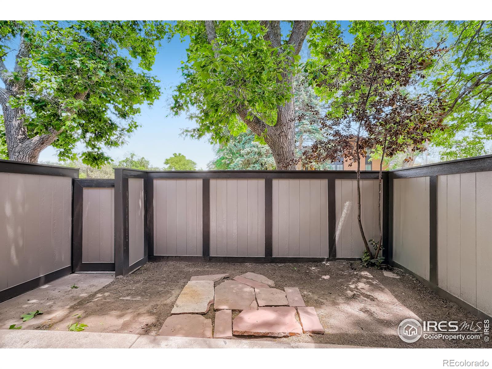 MLS Image #24 for 1325  birch street,fort collins, Colorado