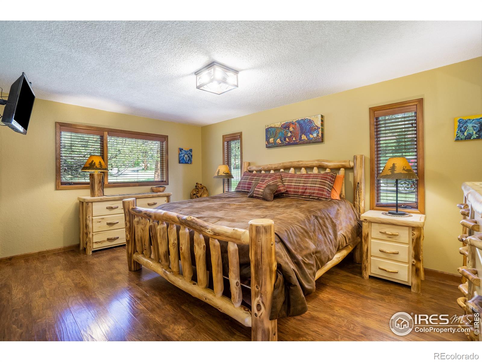 MLS Image #13 for 1732  dekker circle,estes park, Colorado