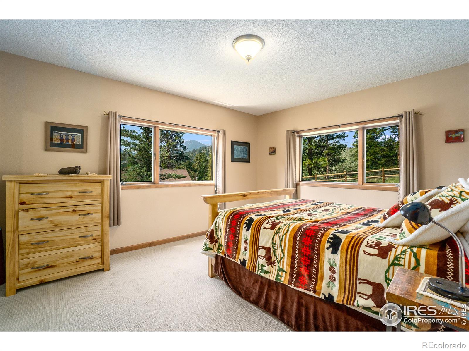 MLS Image #23 for 1732  dekker circle,estes park, Colorado
