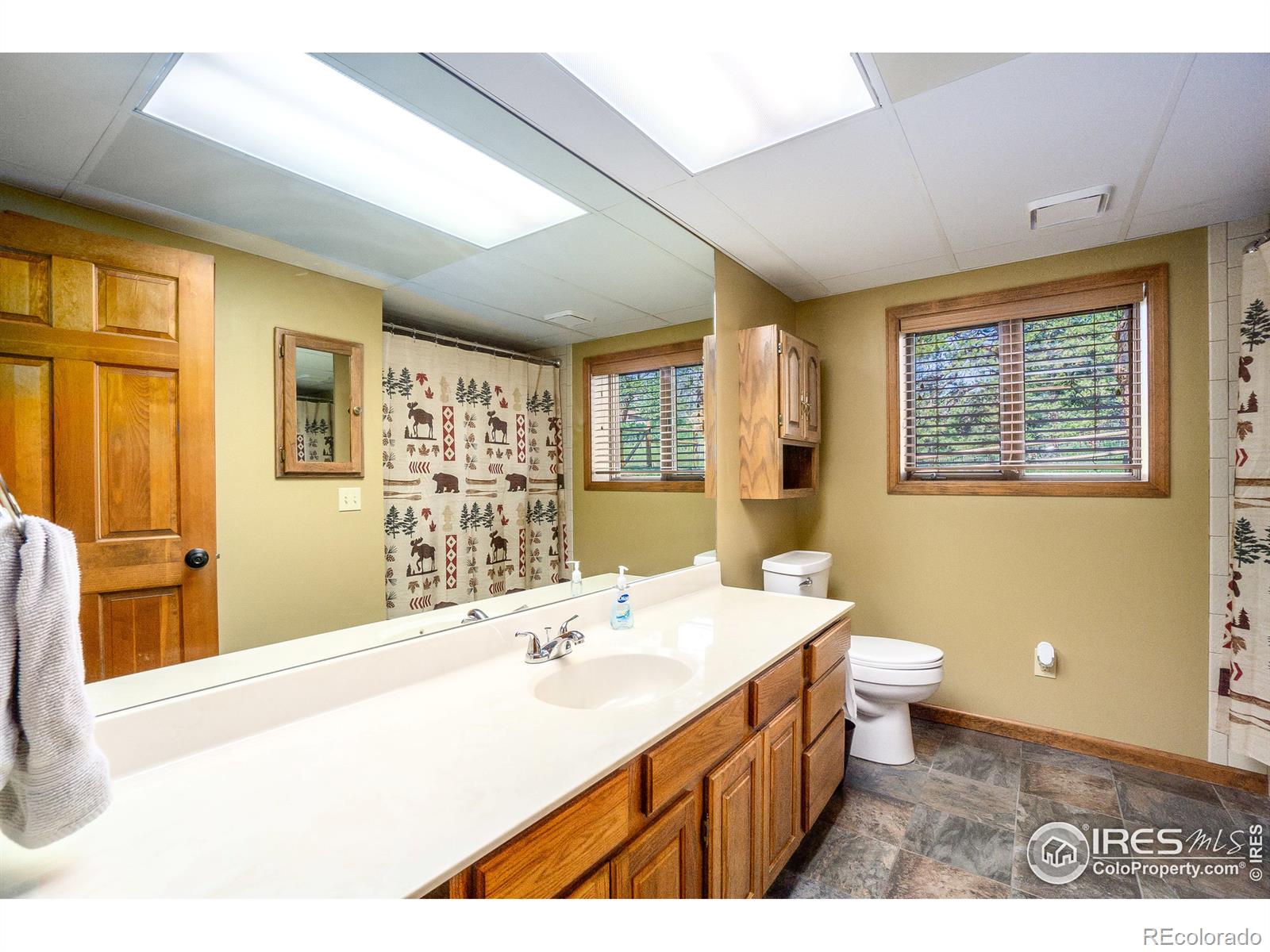 MLS Image #25 for 1732  dekker circle,estes park, Colorado