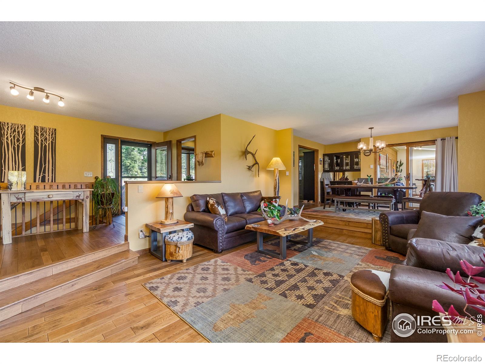 MLS Image #3 for 1732  dekker circle,estes park, Colorado