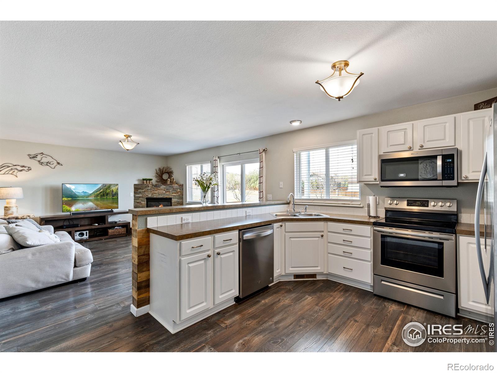 MLS Image #22 for 3715  downieville street,loveland, Colorado