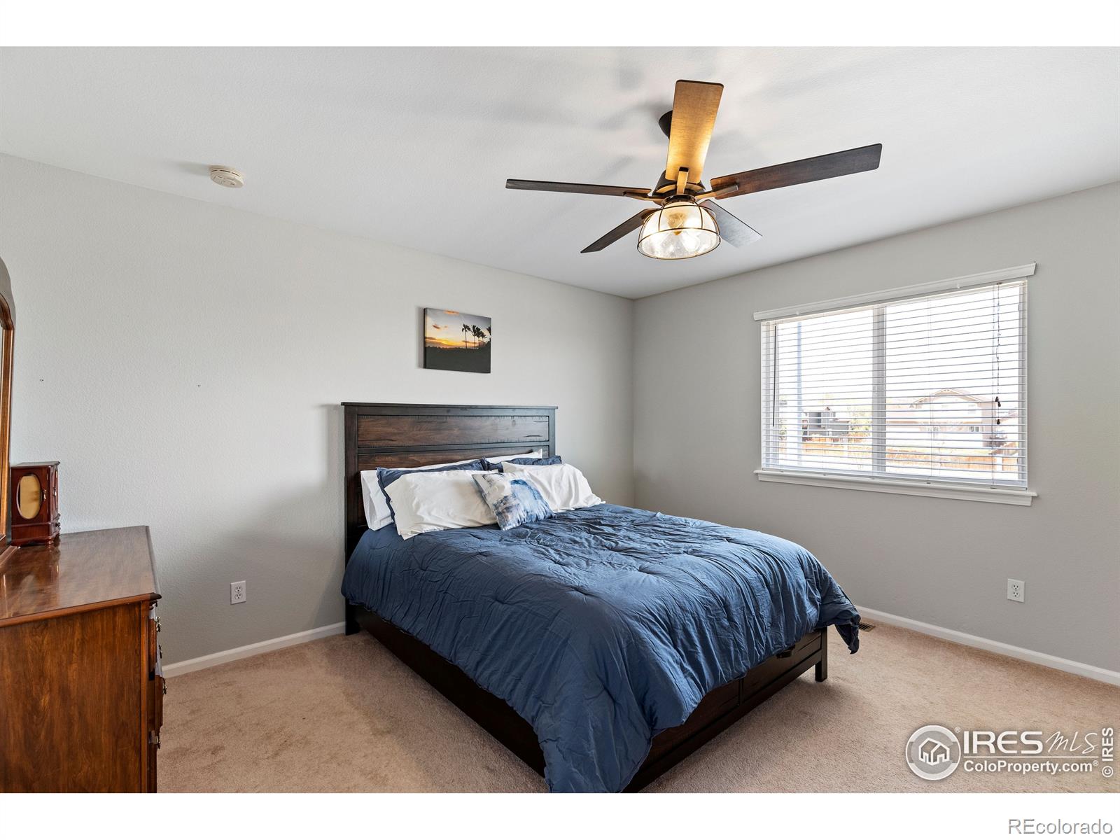 MLS Image #29 for 3715  downieville street,loveland, Colorado