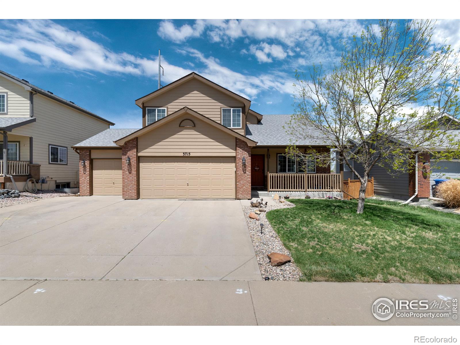 MLS Image #3 for 3715  downieville street,loveland, Colorado