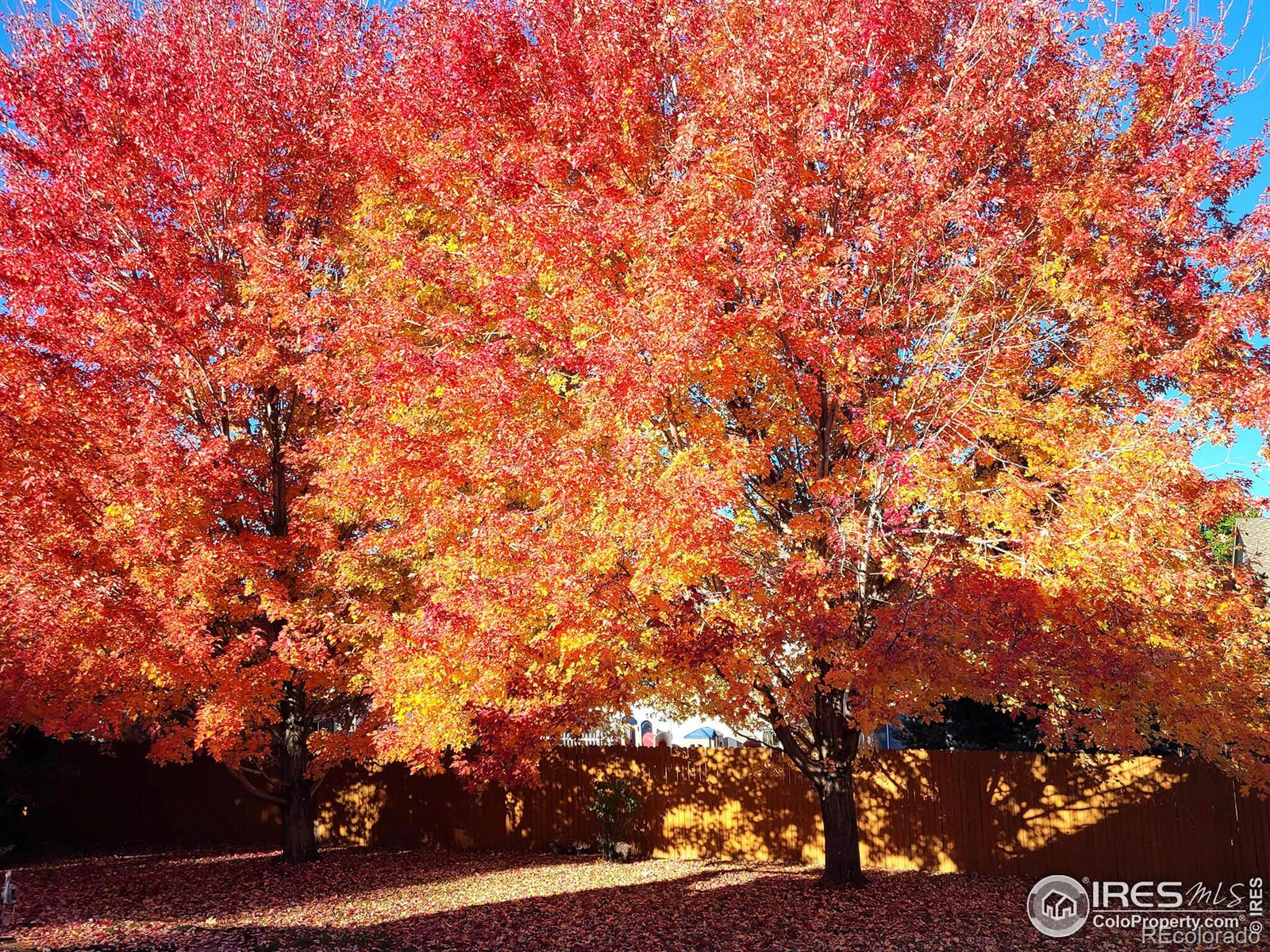 MLS Image #38 for 4877  barn owl drive,frederick, Colorado