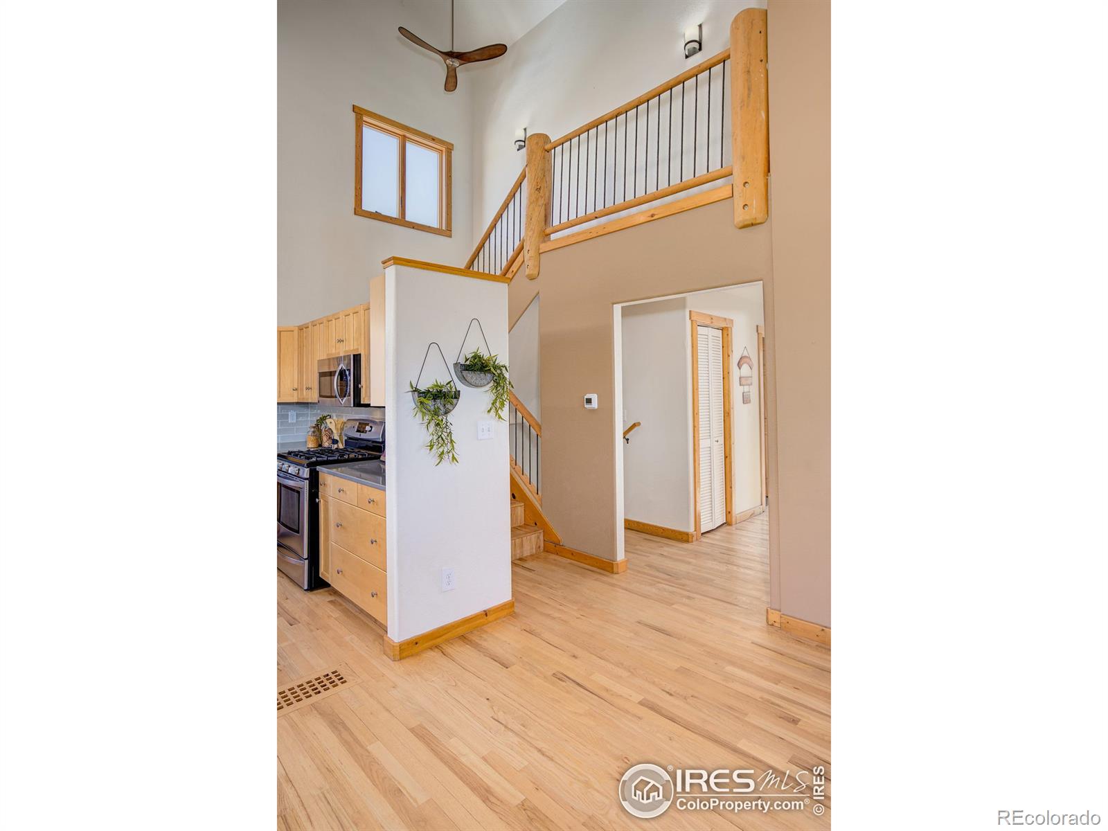 MLS Image #15 for 3409  dixon cove drive,fort collins, Colorado