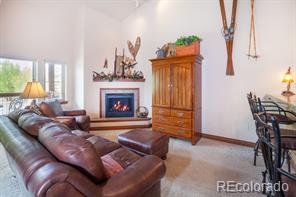 MLS Image #0 for 801  lakepoint b@ drive,frisco, Colorado