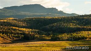 MLS Image #0 for 21550  county road 132a ,oak creek, Colorado