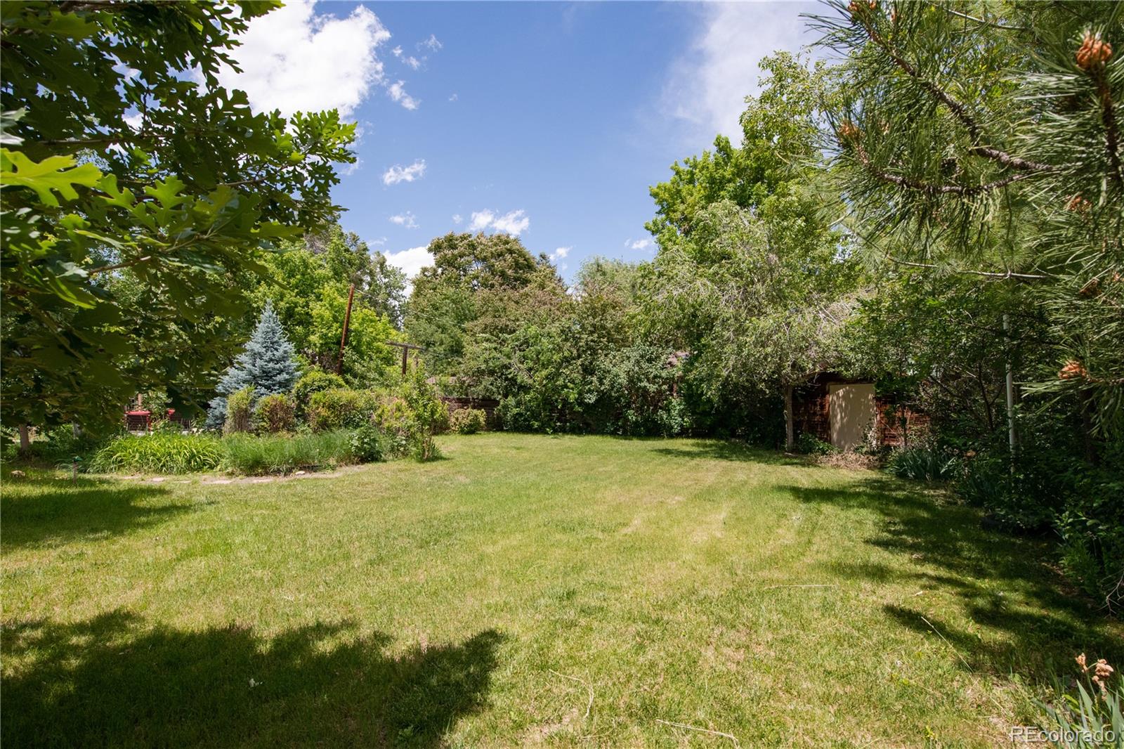 MLS Image #37 for 850  allison street,lakewood, Colorado