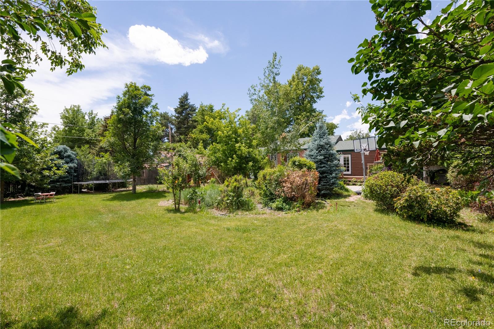 MLS Image #38 for 850  allison street,lakewood, Colorado